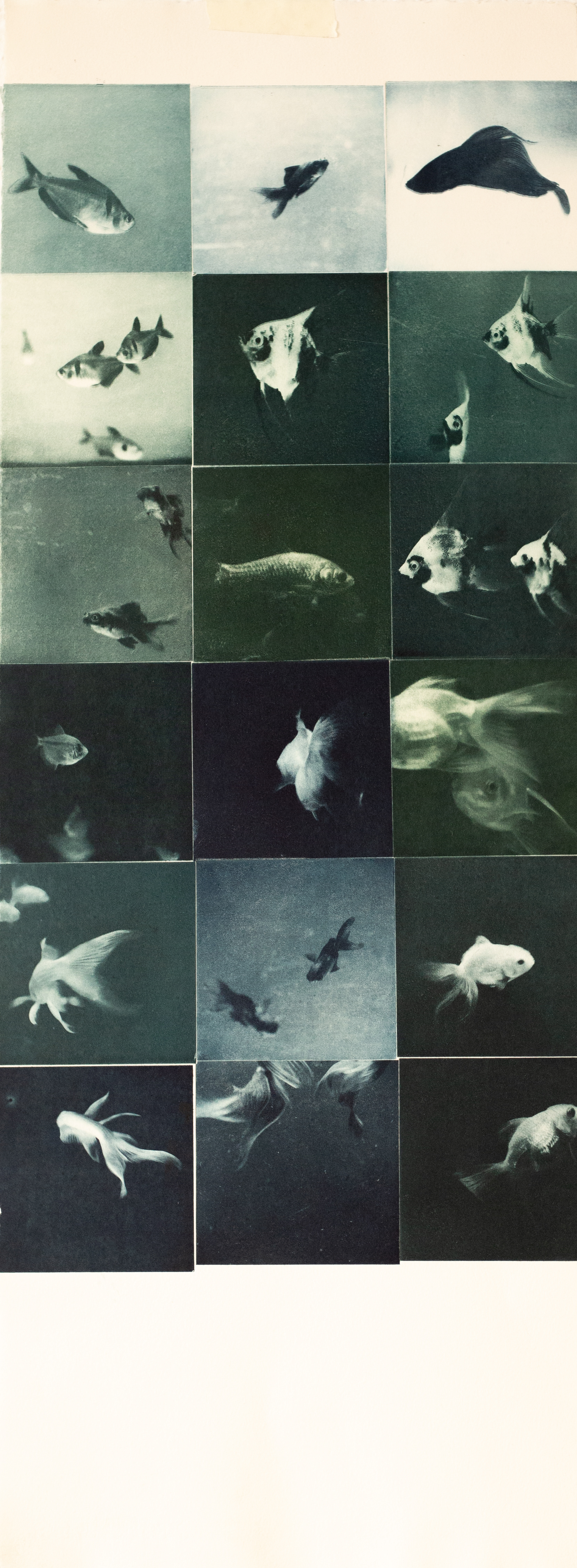 FISH TANK - Fotograbado de 18 planchas. Papel de algodón 280gr., 30x75cm