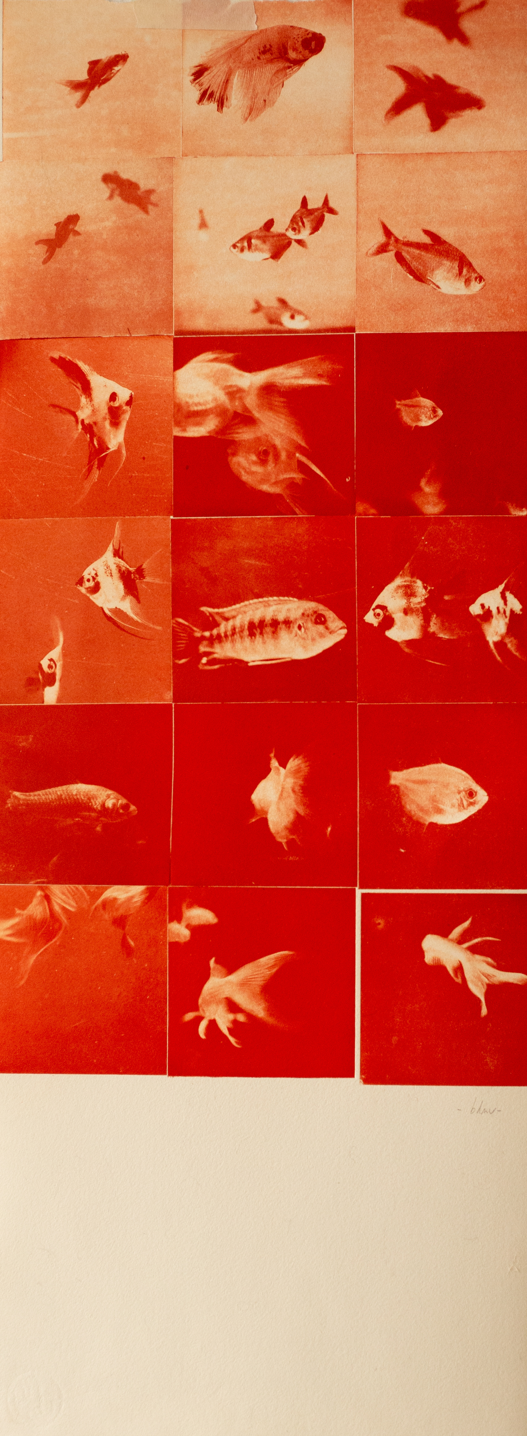 FISH TANK - Fotograbado de 18 planchas en papel de algodón de 280gr. 30x75cm