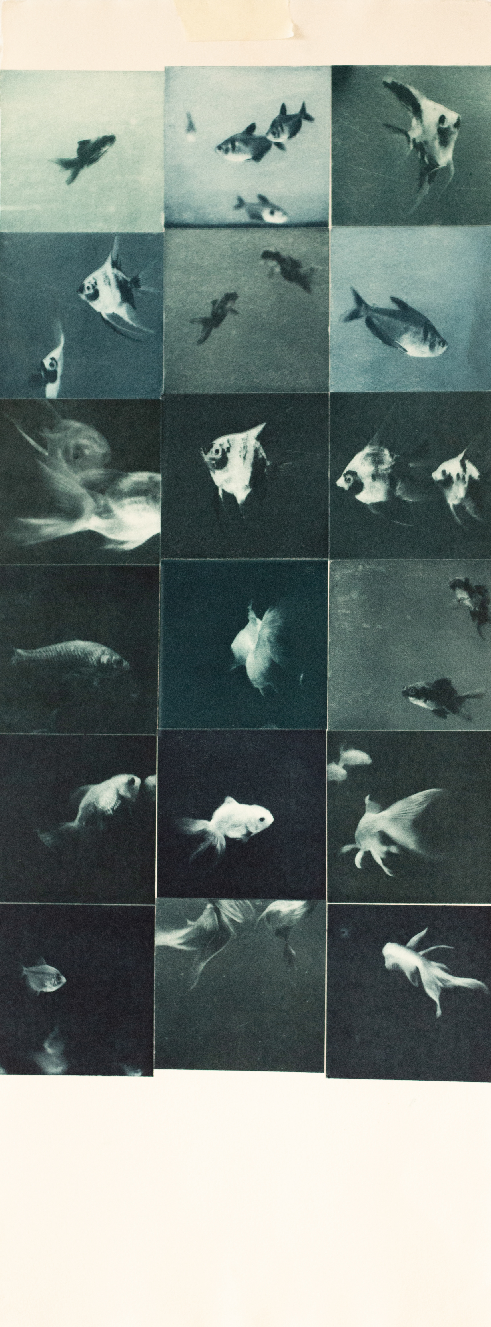 FISH TANK - Fotograbado de 18 planchas. Papel de algodón 280gr., 30x75cm