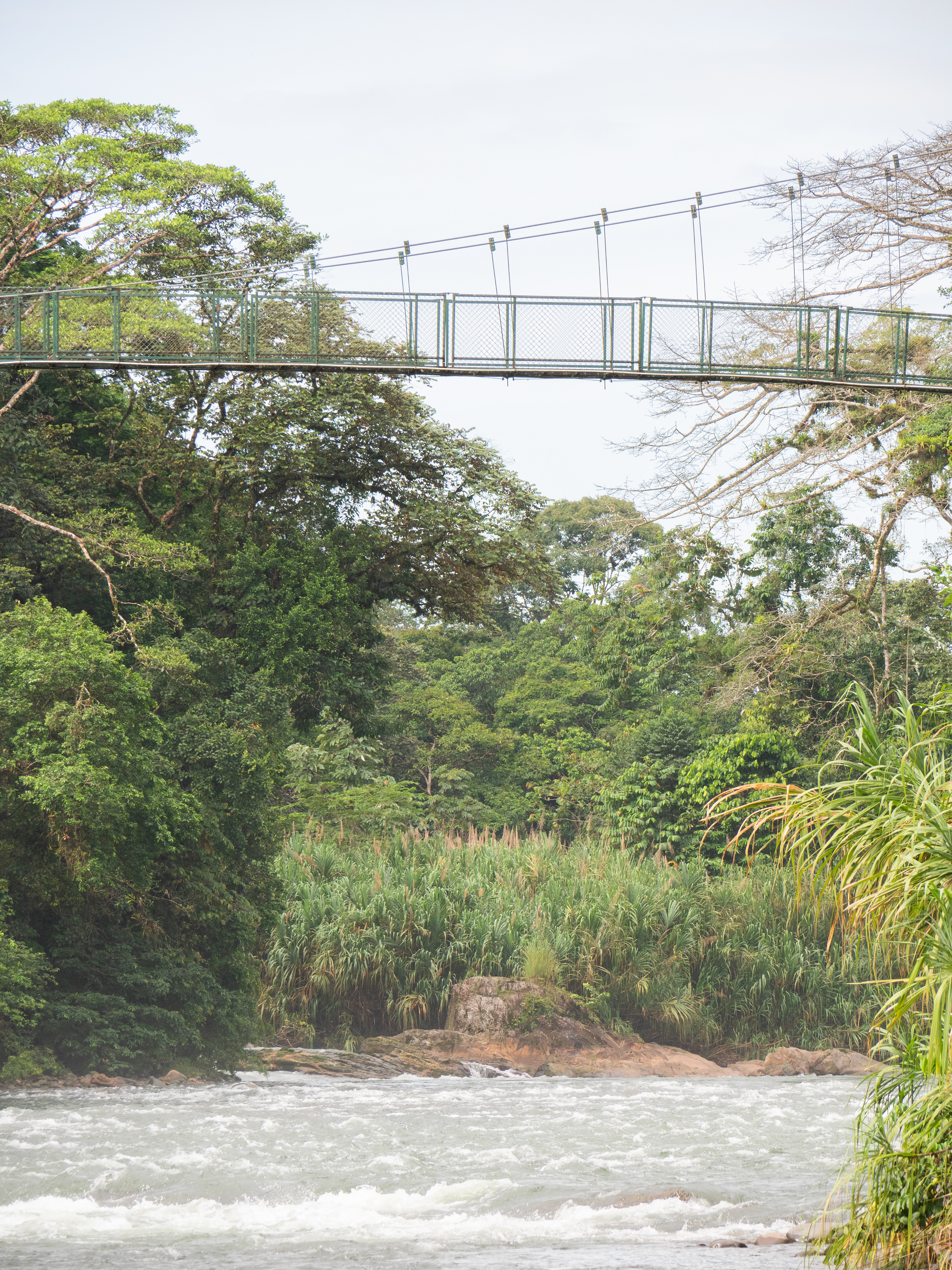 loopbrug over de Sarapiqui rivier