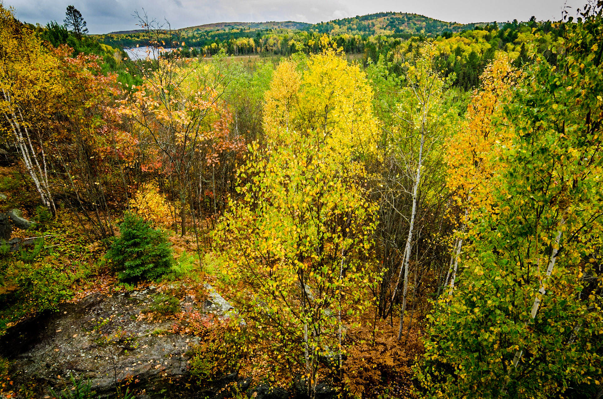 Rouge Creek