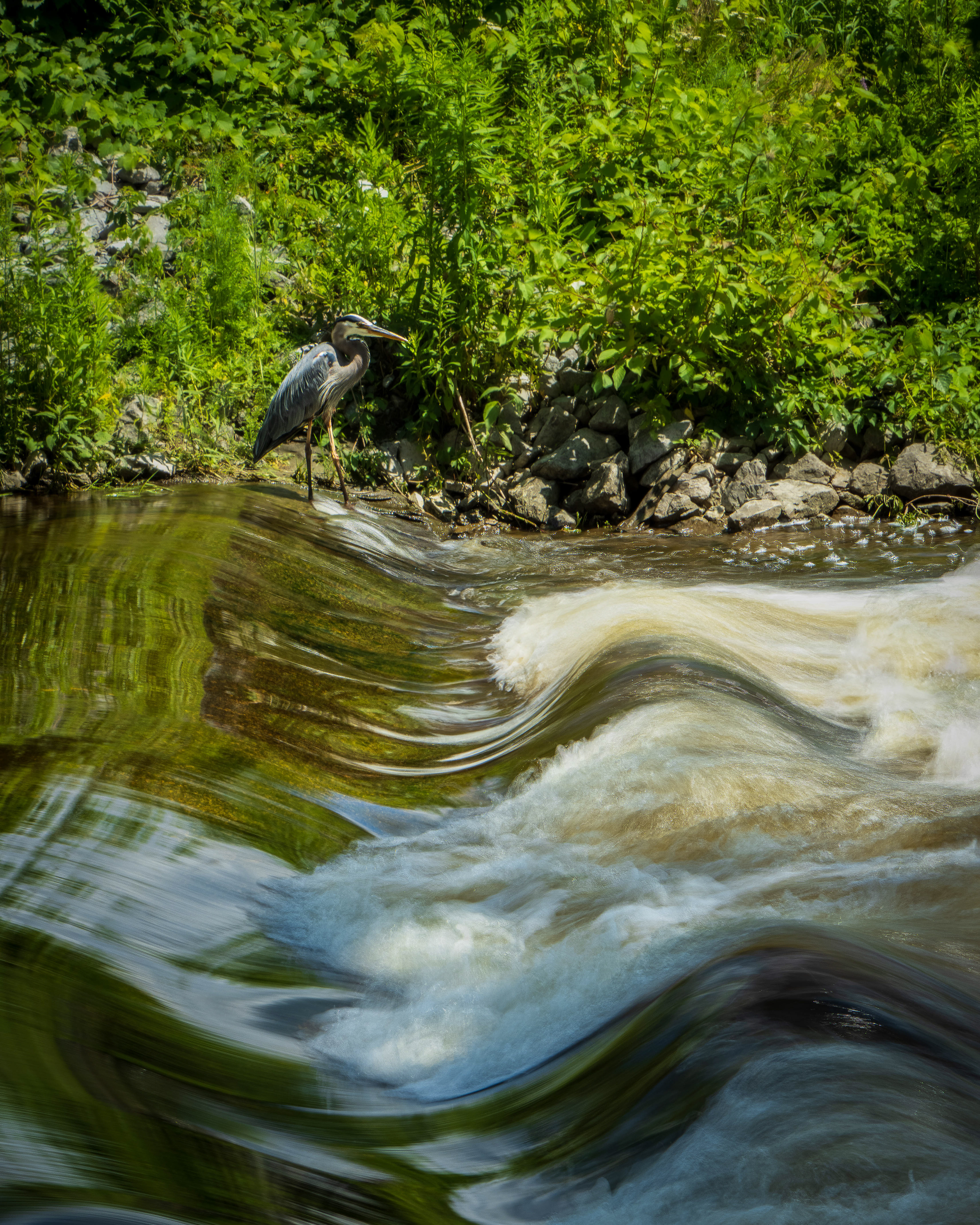 Motion in Stillness