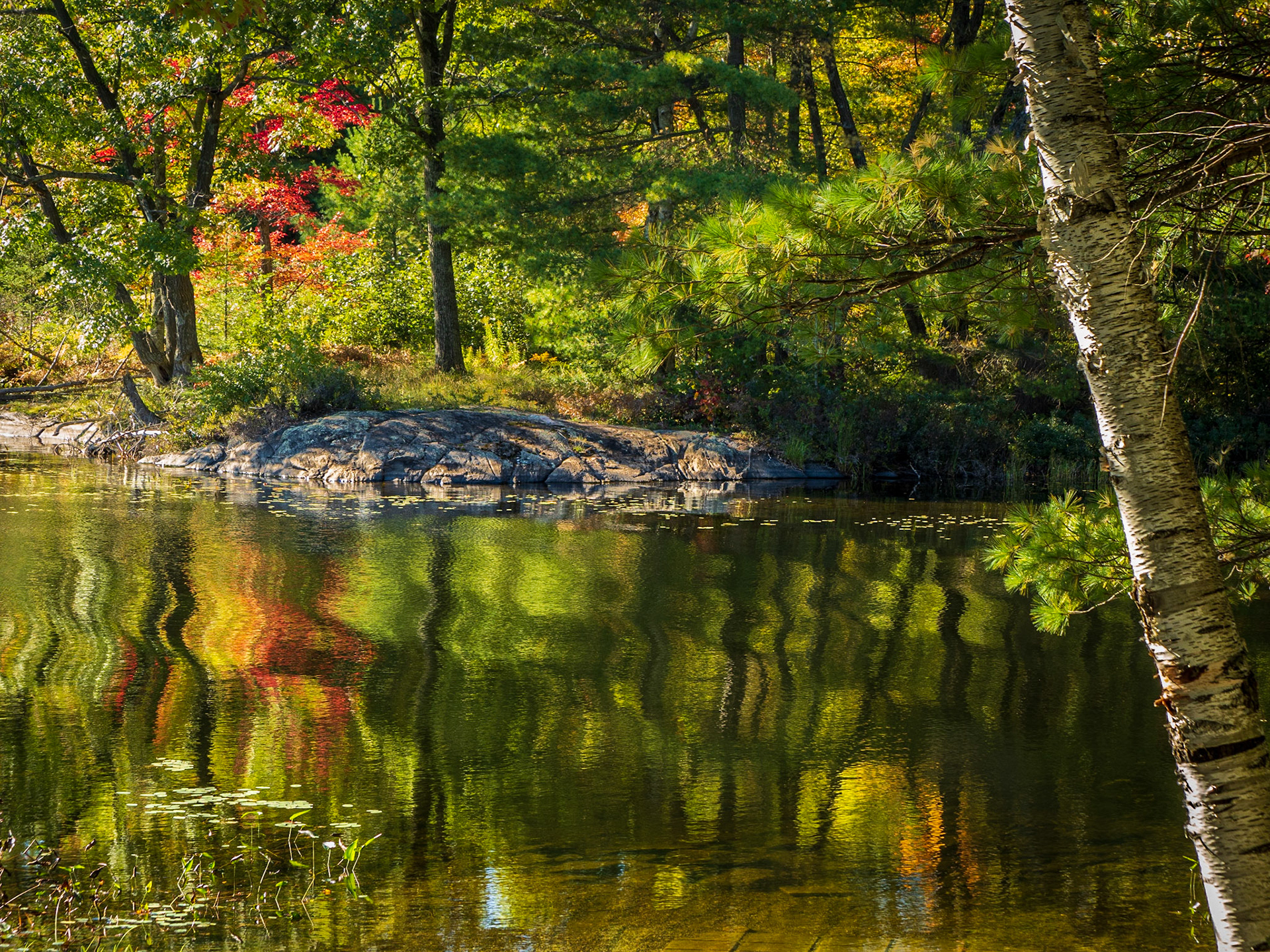 Impressions of Autumn