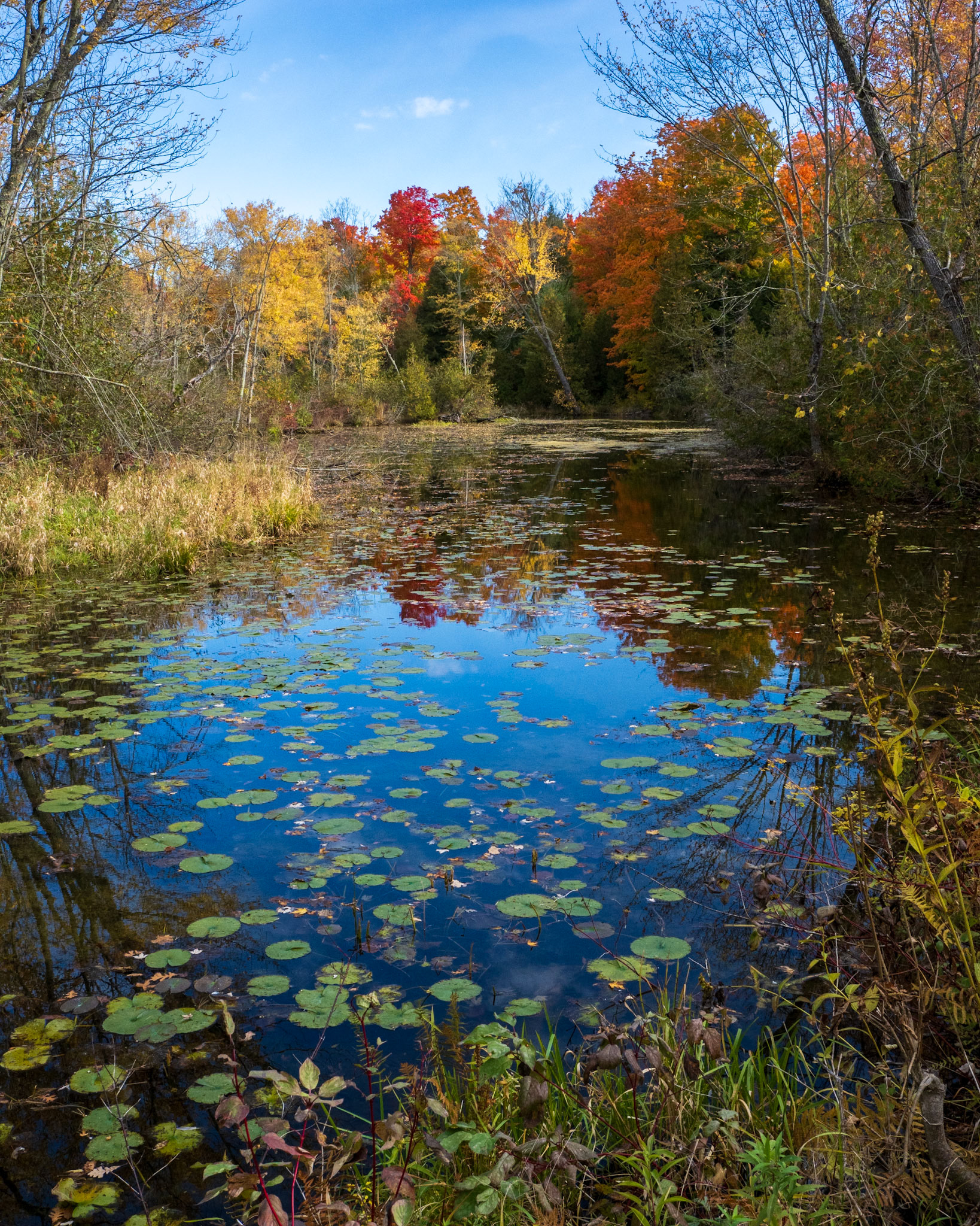 Ouse River Autumn