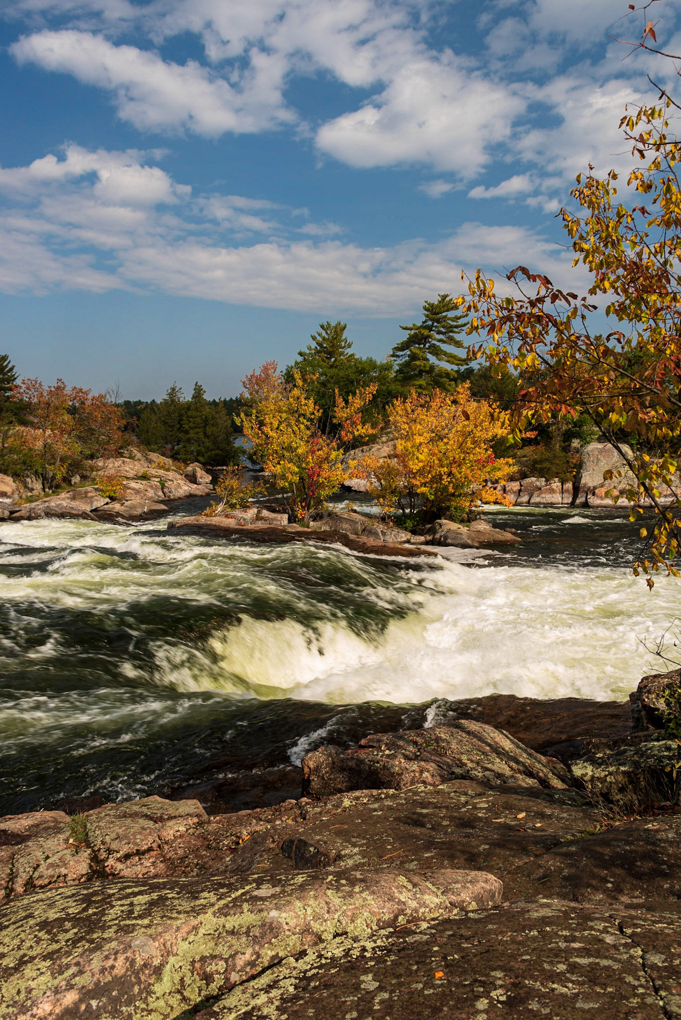Autumn at Burleigh Falls