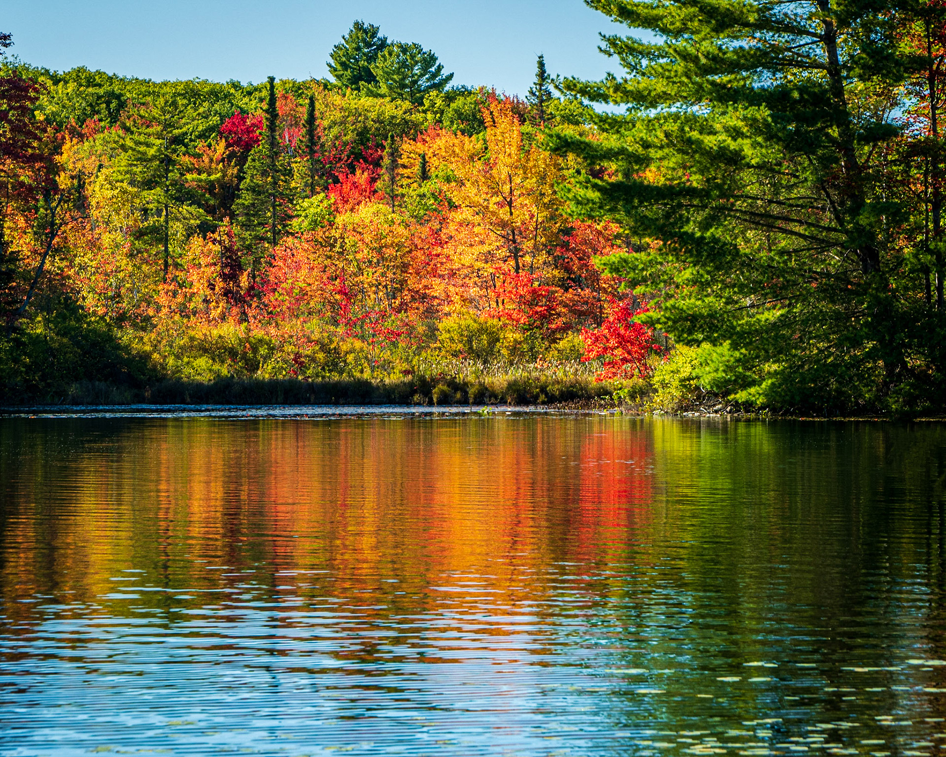 Autumn Solitude