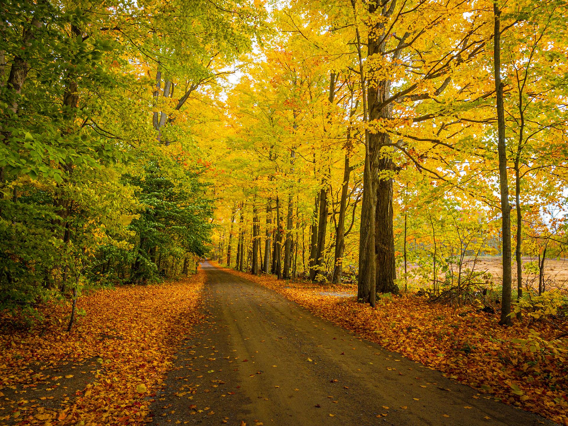Two-Beer Road