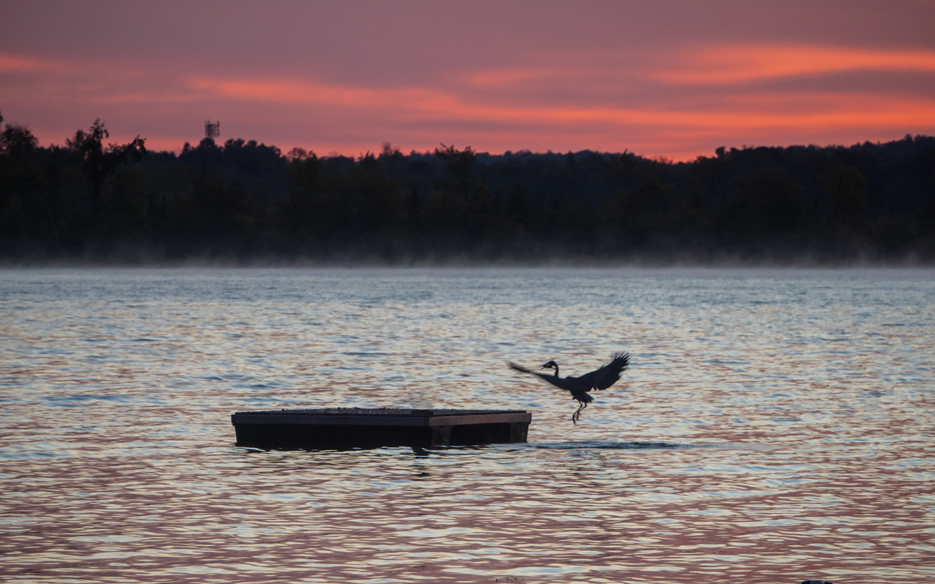 Three-Point Landing