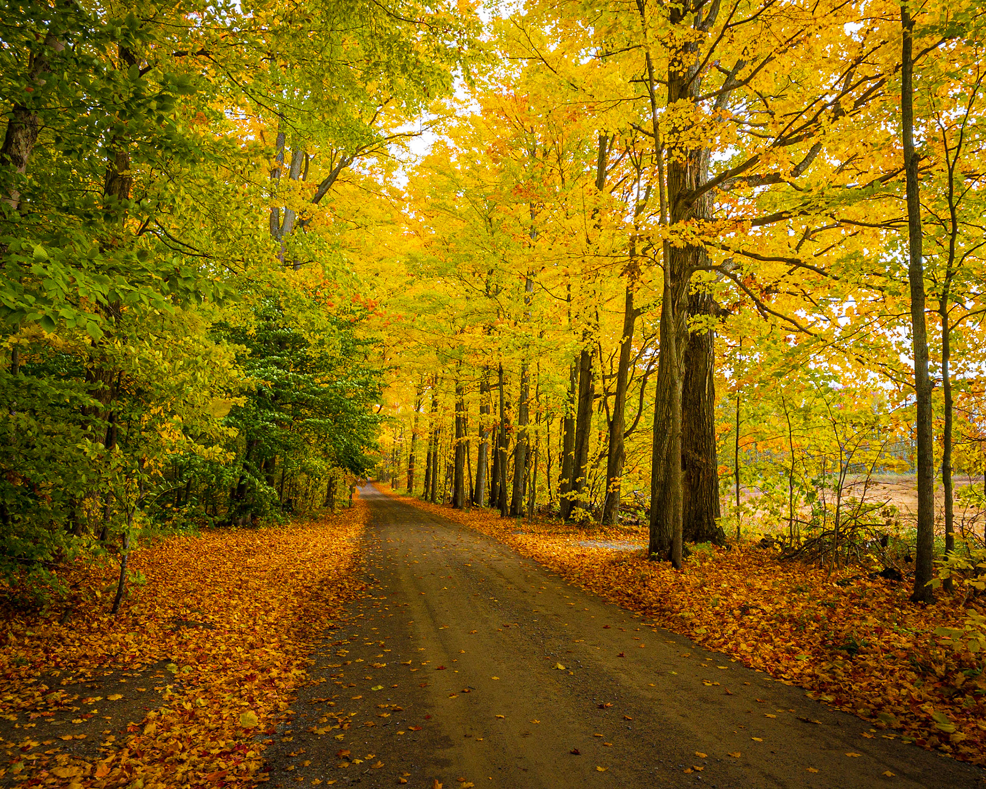 Two-Beer Road