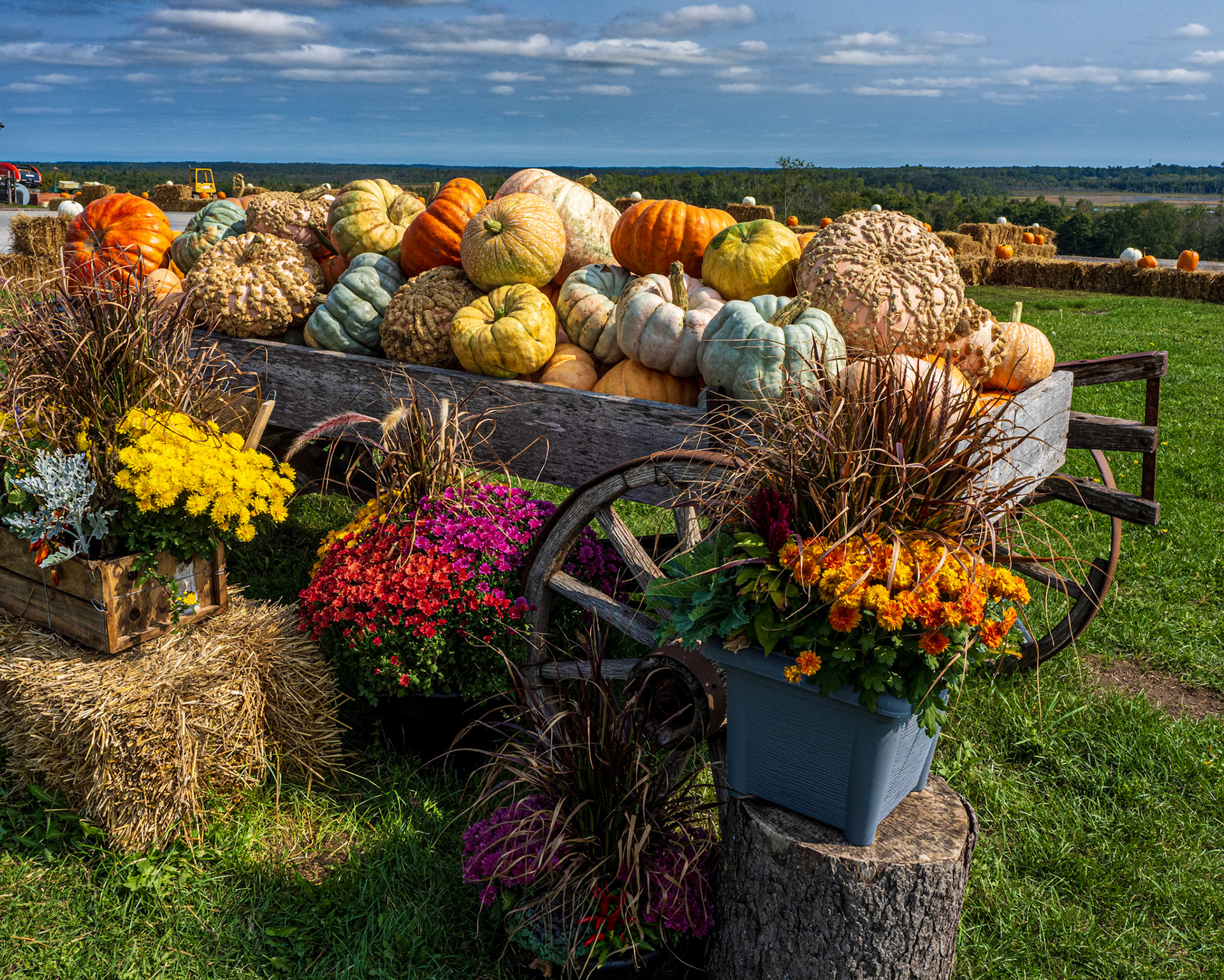 Pumpkin Cart