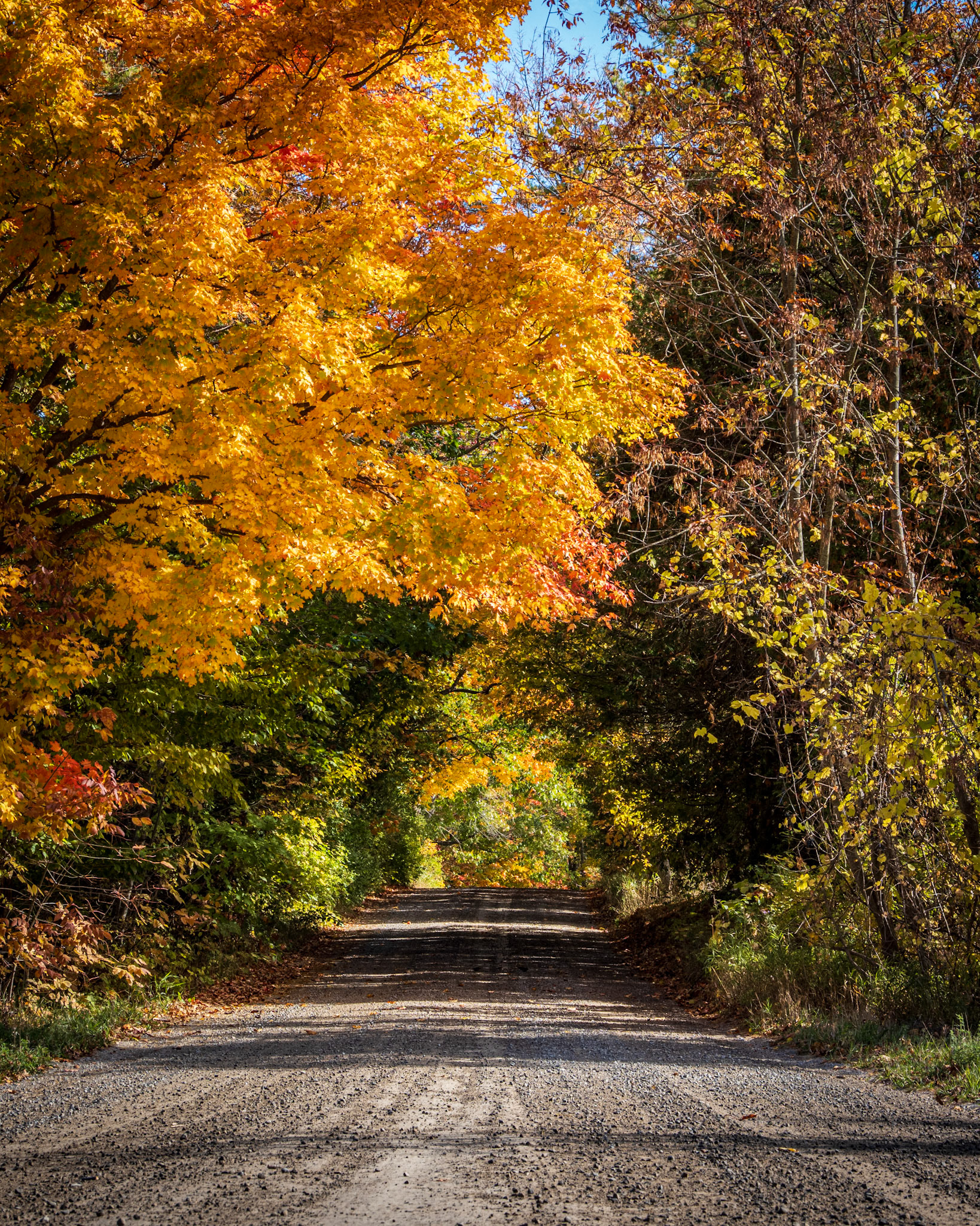Autumn Tunnel, Part 2