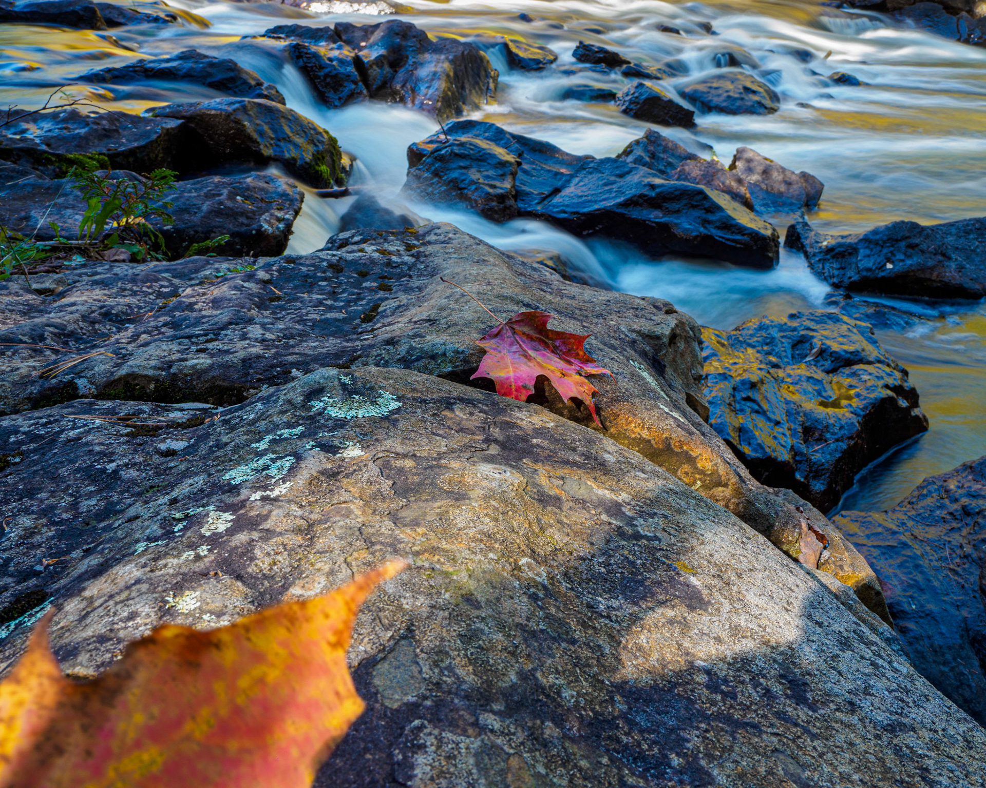 Autumn at Eels Creek