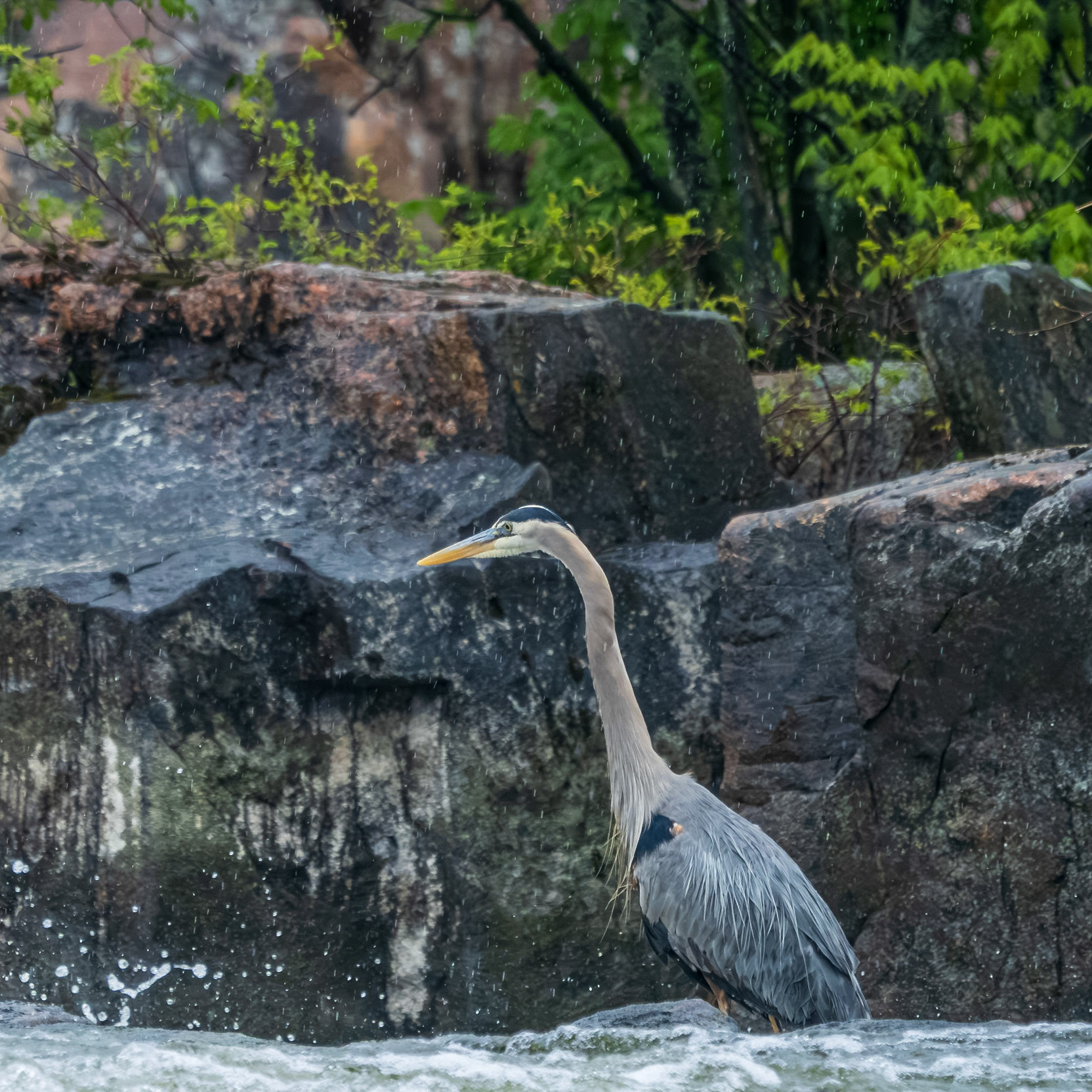 Fishing at Burleigh Falls