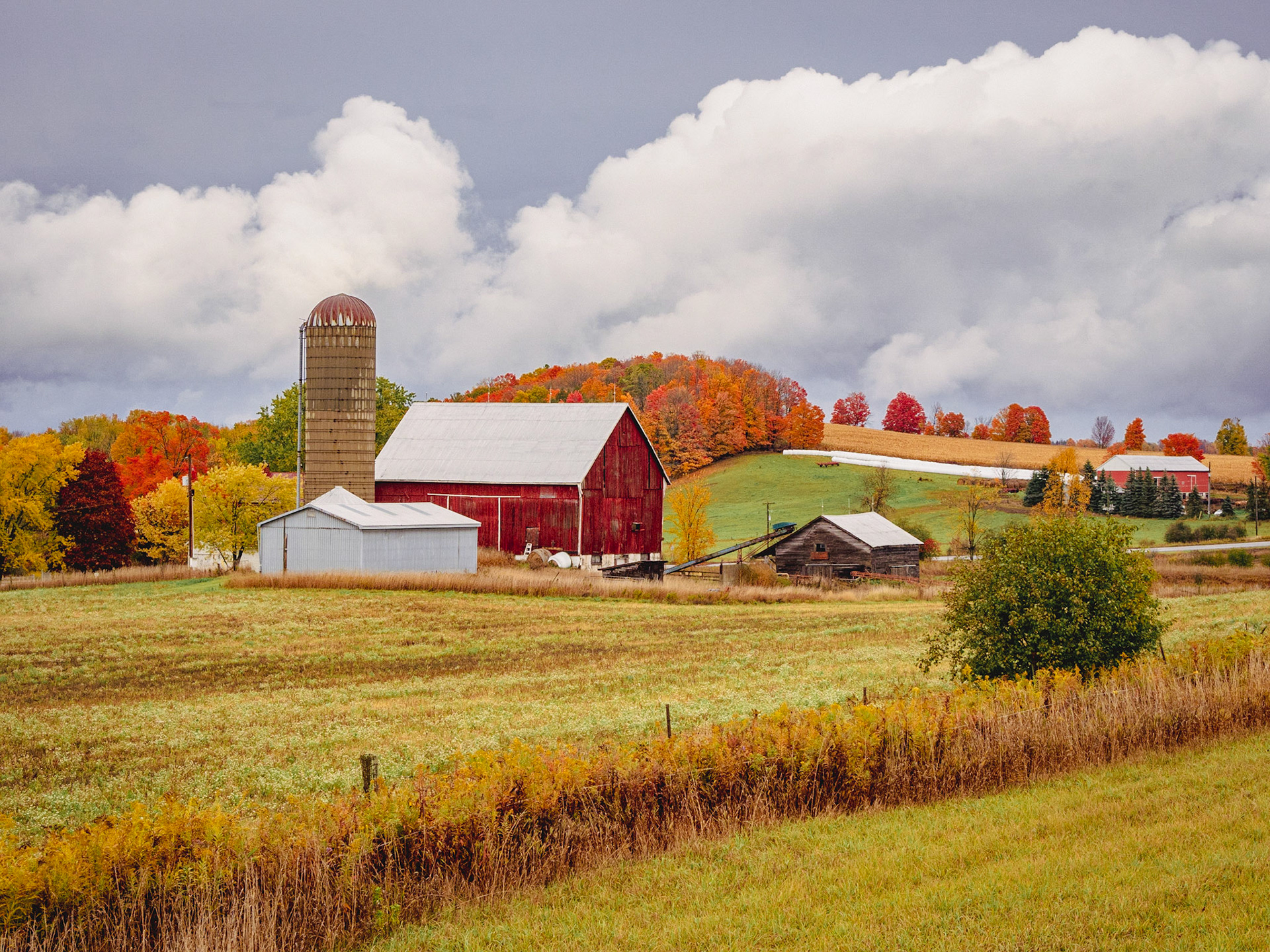Autumn Dreamscape