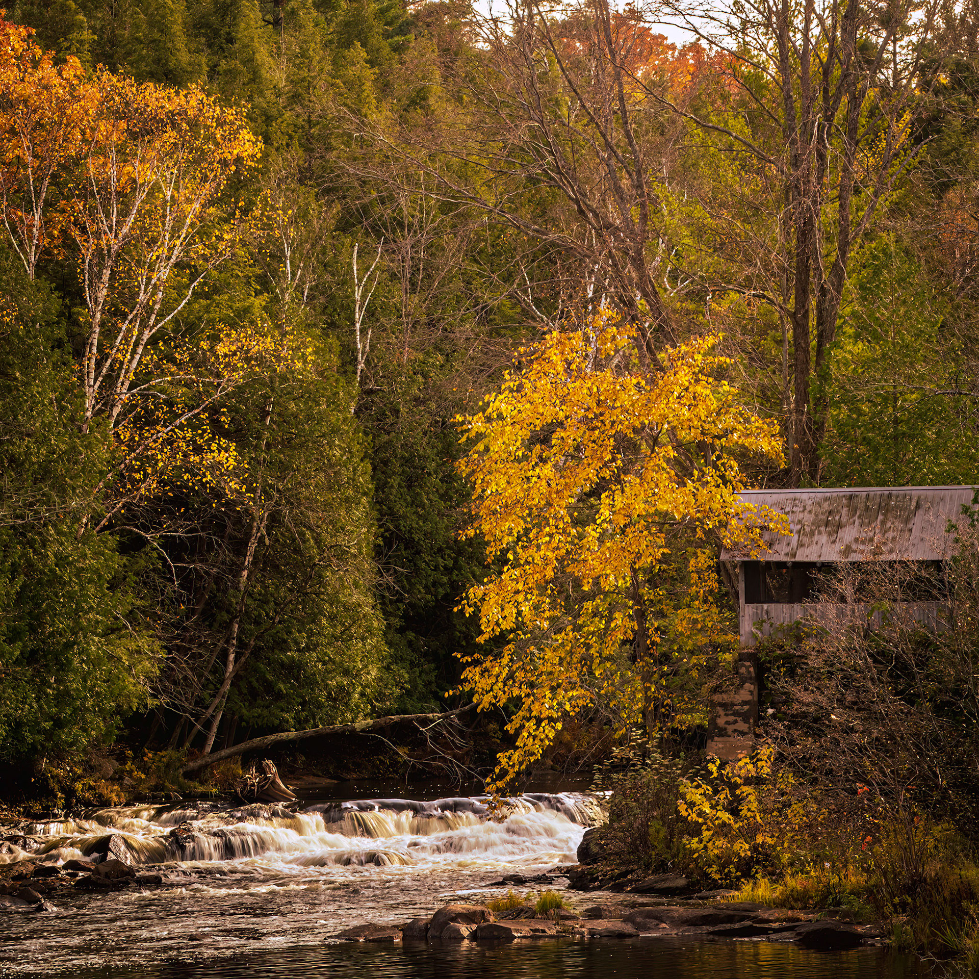 Eels Creek Cascade