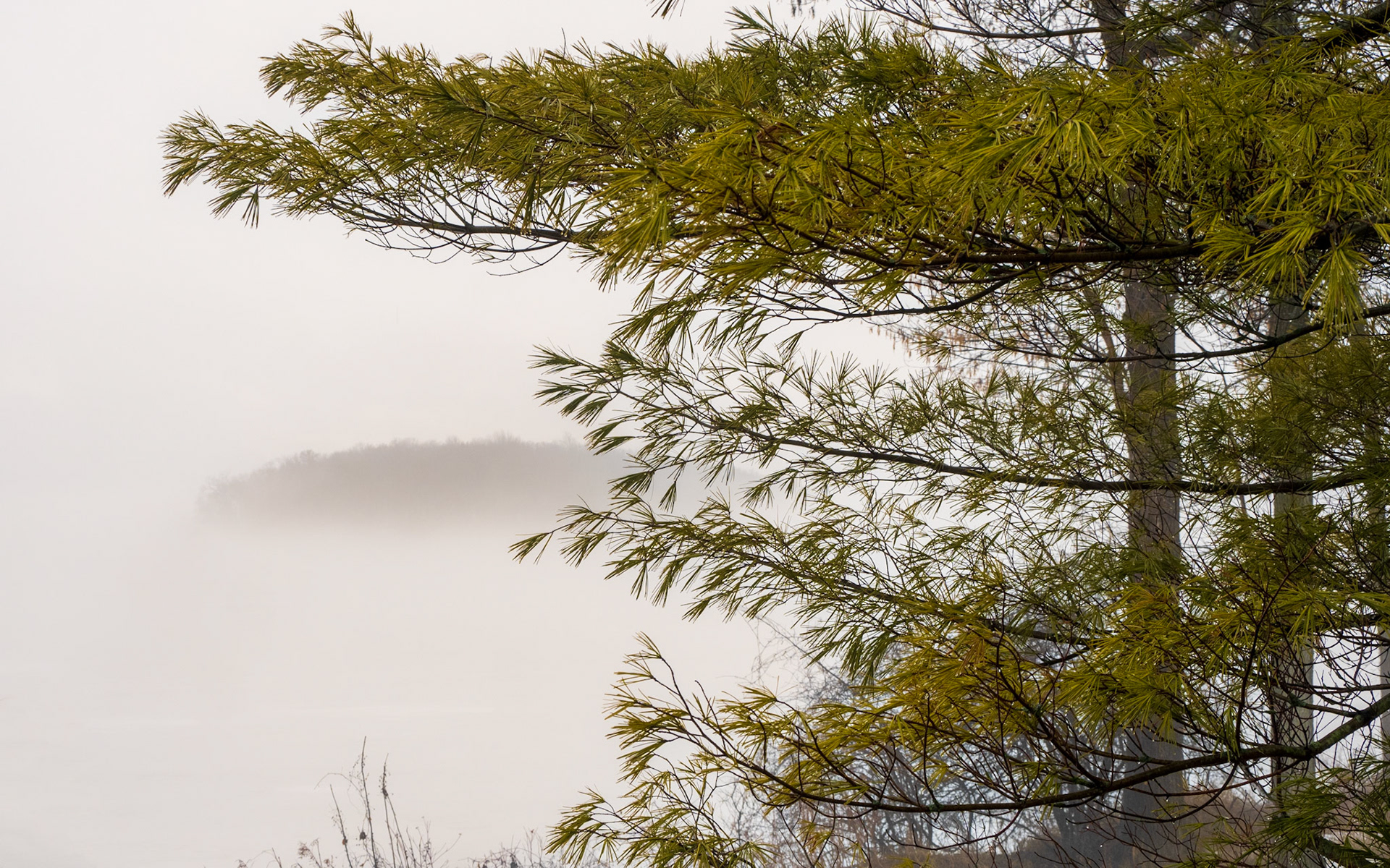 Lost Horizon