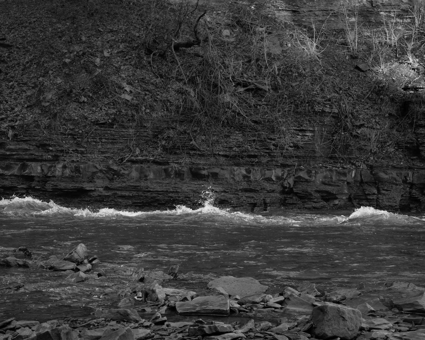 After only a few hours of rain during the previous night, the turbulent water of Fall Creek flows with speed and energy toward Cayuga Lake.