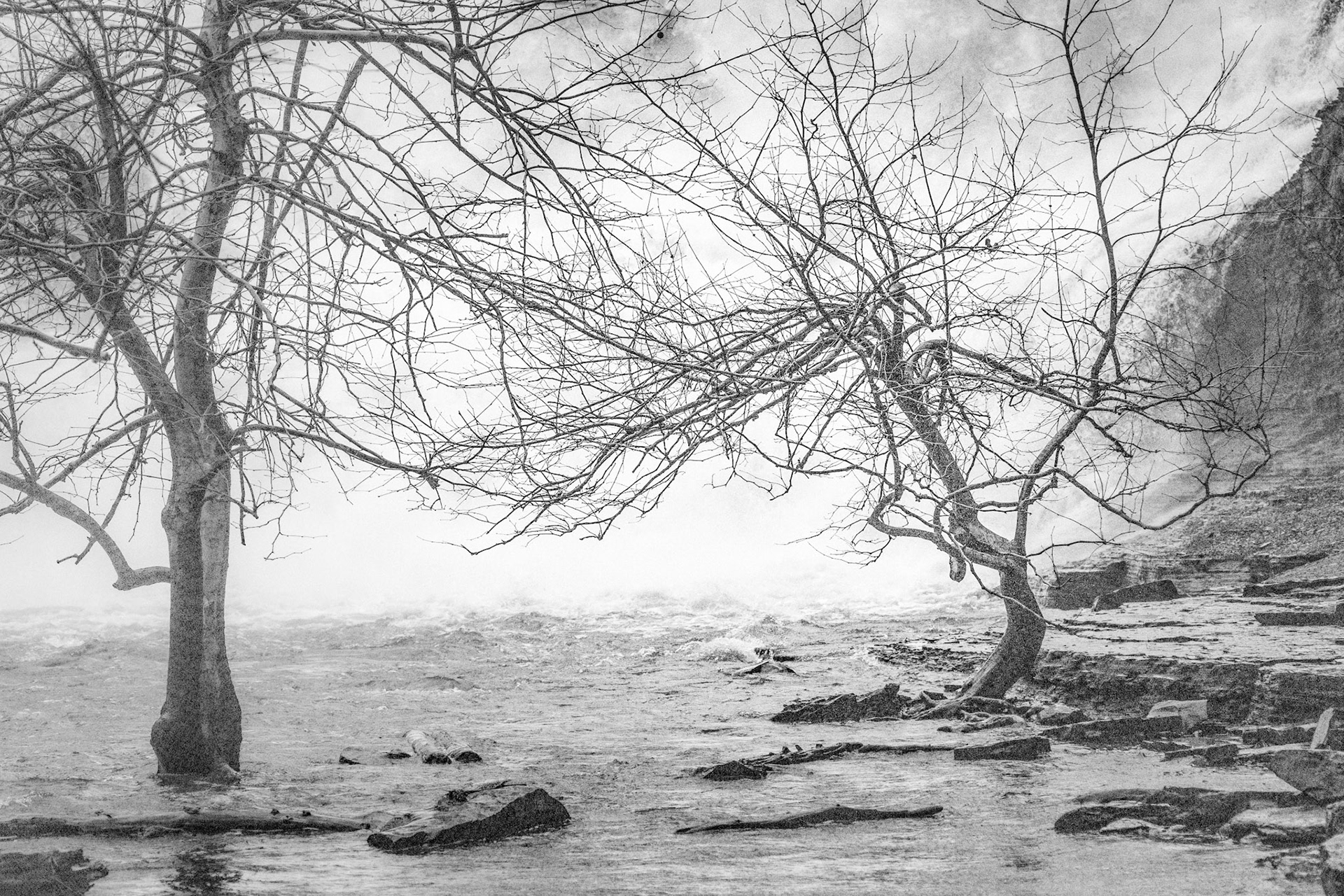 The trees closest to the falls are partially submerged most of the year. It seems almost impossible that they can survive in this treacherous location.