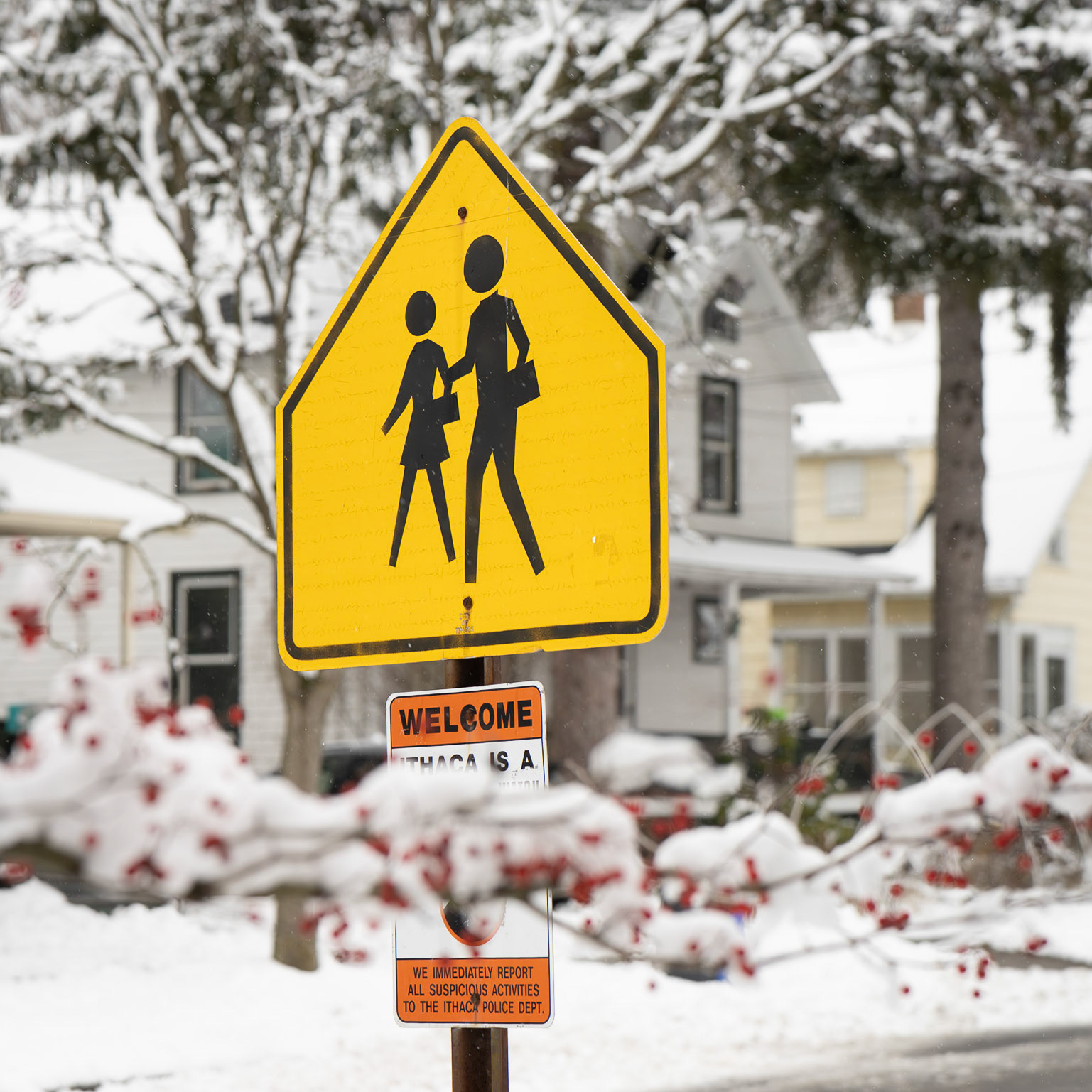 School Crossing / Welcome