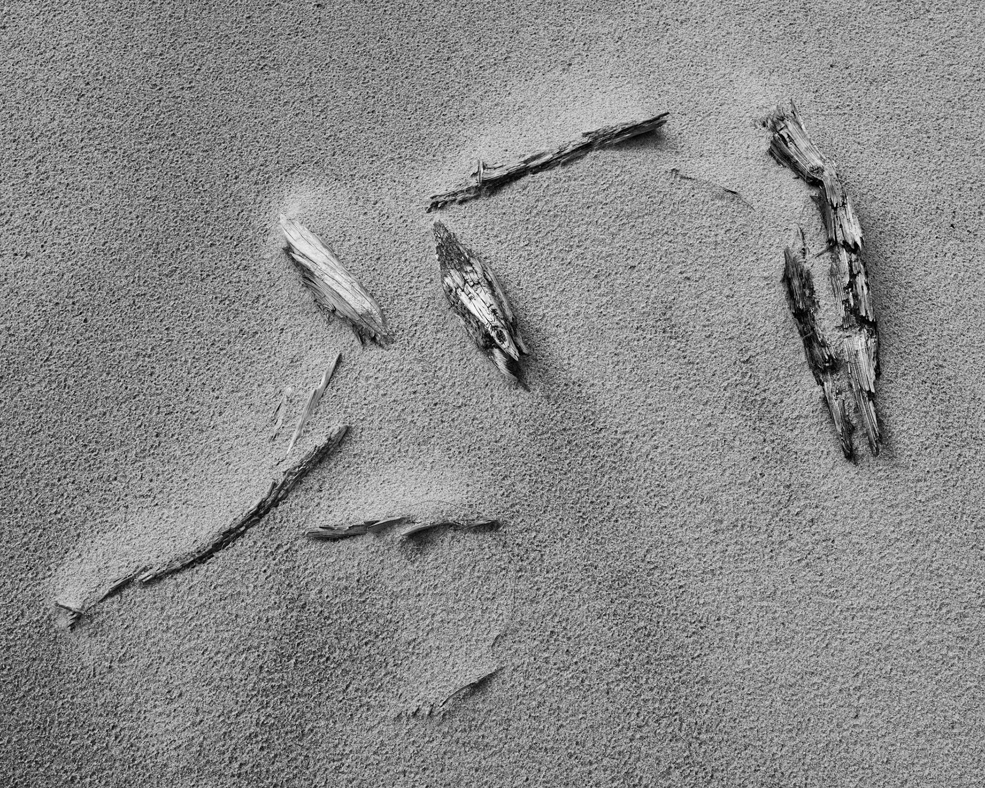 These pieces of wood look to me like the bones of an ancient reptile locked into stone.  They are, in reality, a rather a different type of fossil - the remnants of a tree that was buried by the dune sand of the coast.  Whether reptile or tree, both remindme that time measured in a single life-time is a very small fraction of the flow of time.