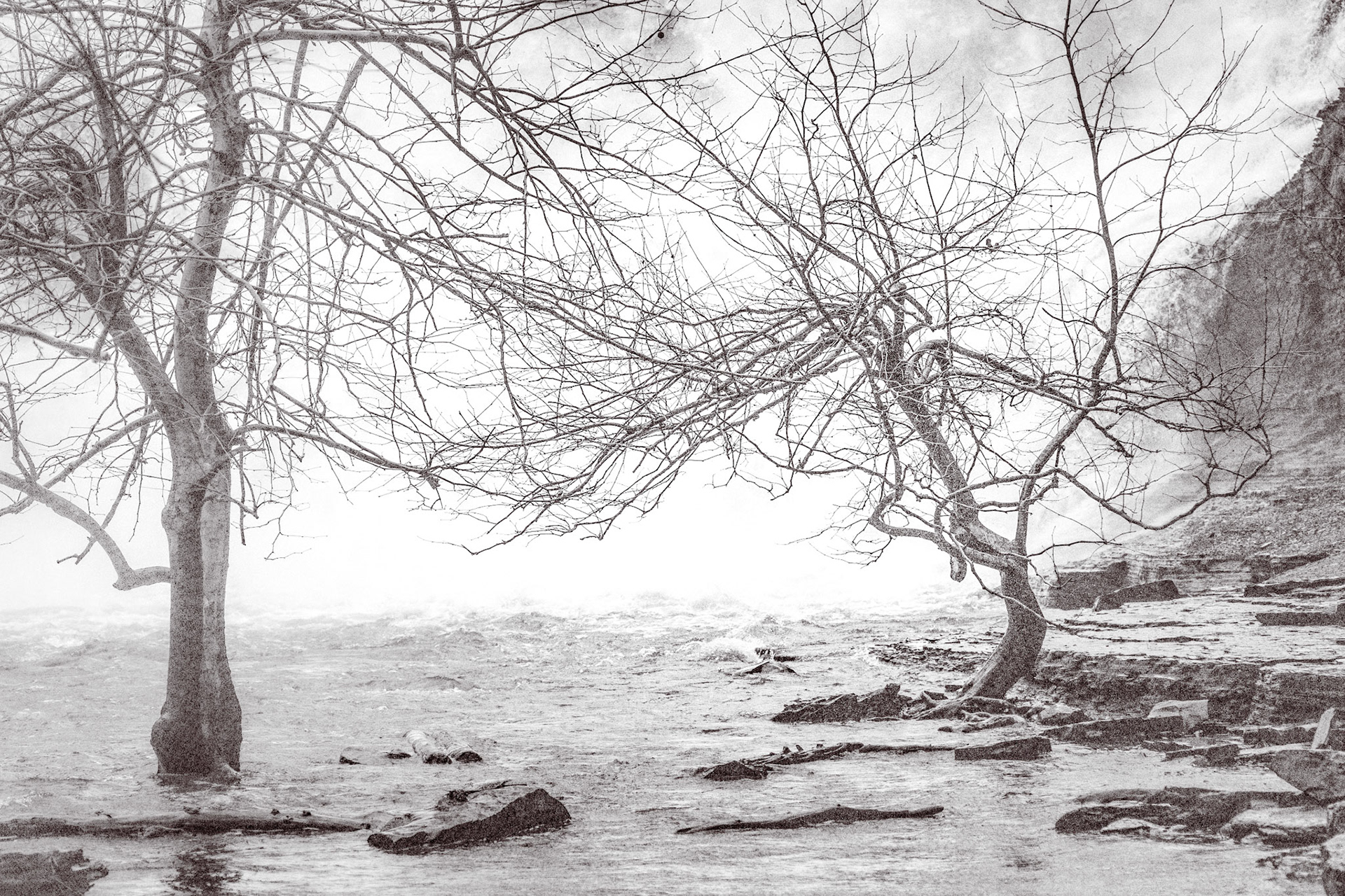 The trees closest to the falls are partially submerged most of the year. It seems almost impossible that they can survive in this treacherous location.