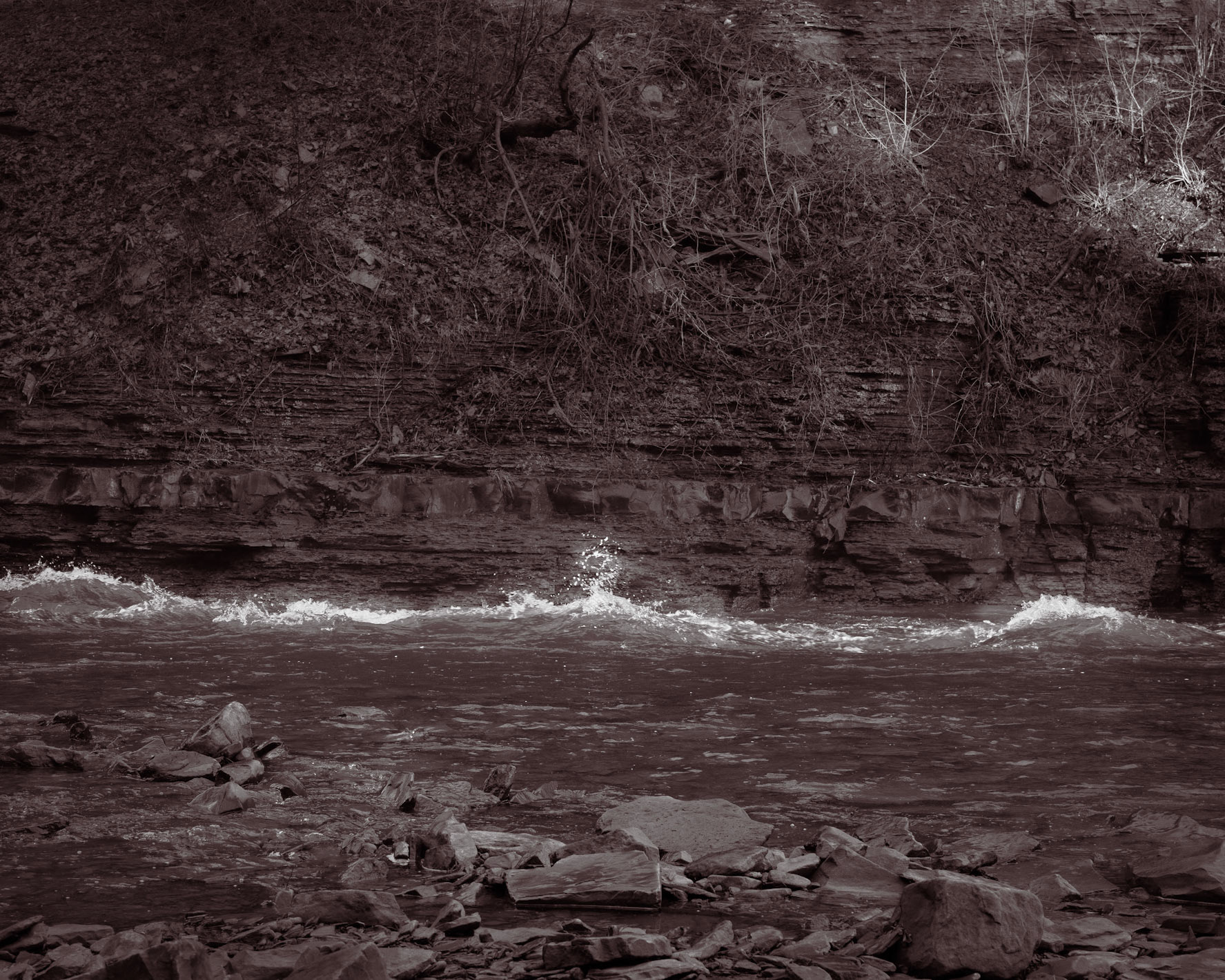 After only a few hours of rain during the previous night, the turbulent water of Fall Creek flows with speed and energy toward Cayuga Lake.