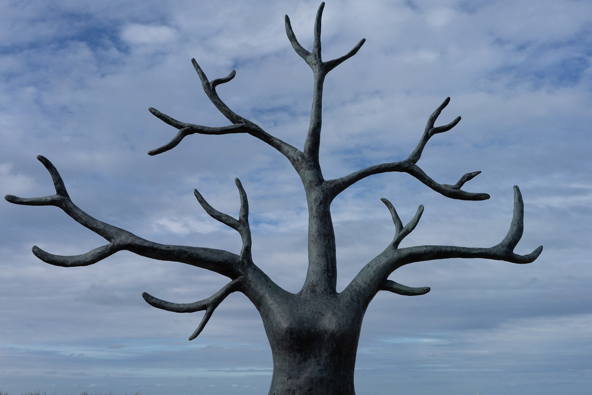 Daphne turning into a tree