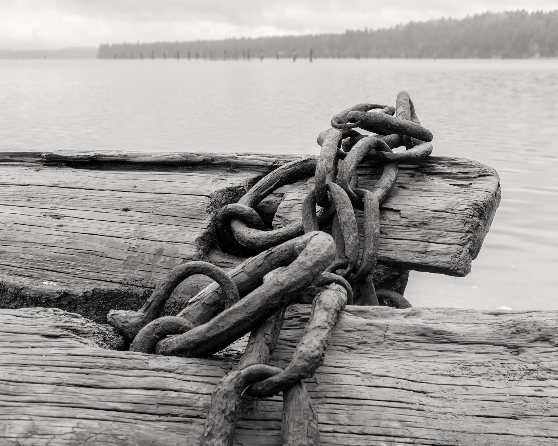 gaussian blur in background