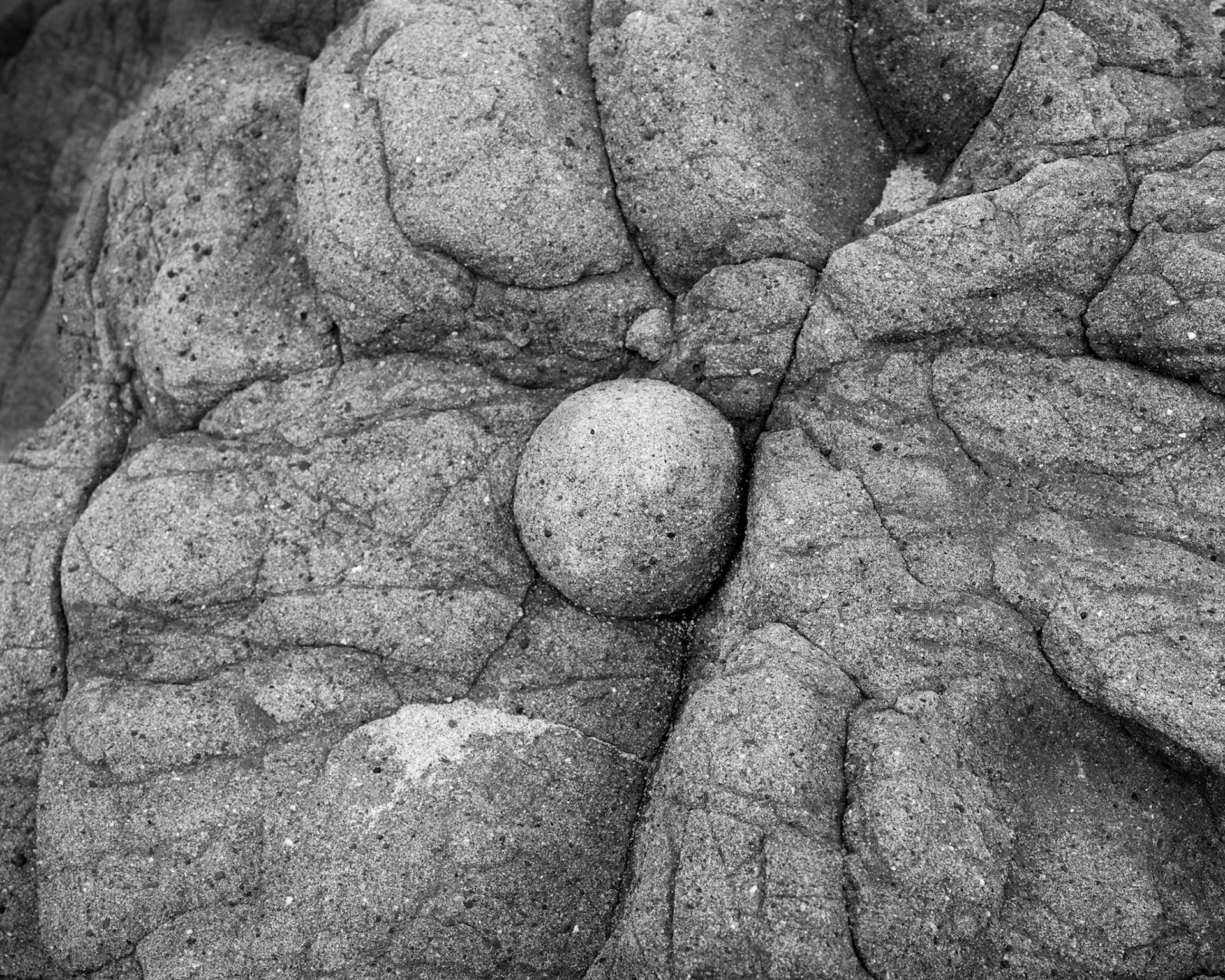 This rock is an odd-ball!  Both the "ball", a concretion, and the surrounding rock are composed of the same sandstone. So why should a nearly round sphere separate itself from the parent rock in which it is embedded? While I want to find answers to what I don't know, sometimes, I just honor the mystery.