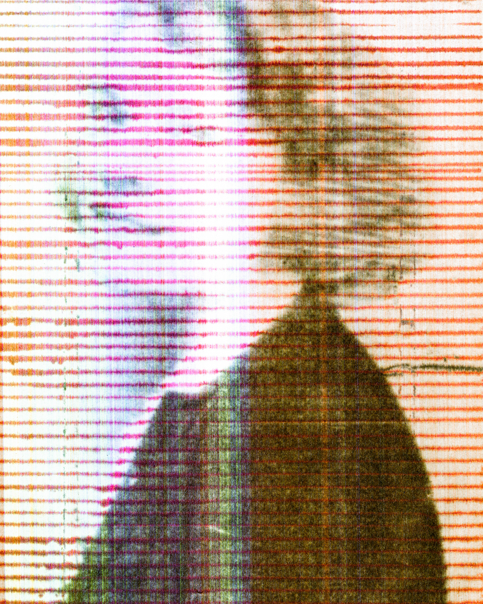 Käte