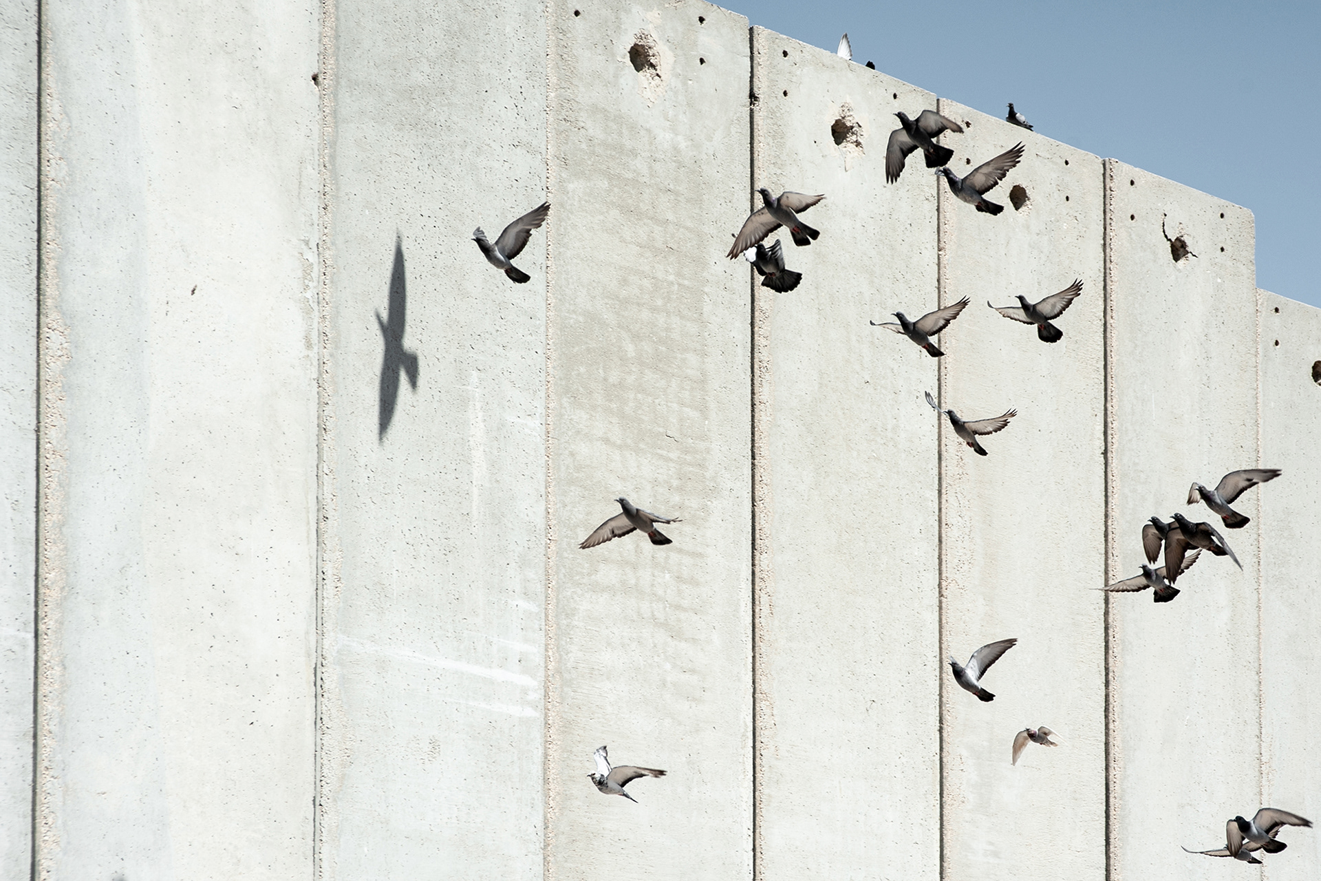 Aida Refugee Camp