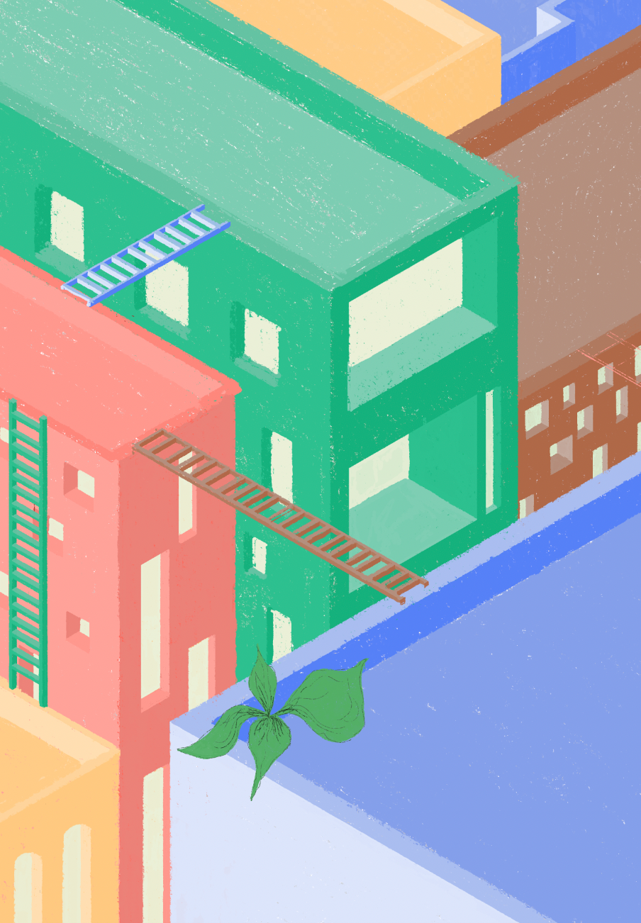 Colorful isometric illustration of rooftops connected by ladders and stairs, with a large green plant growing below.