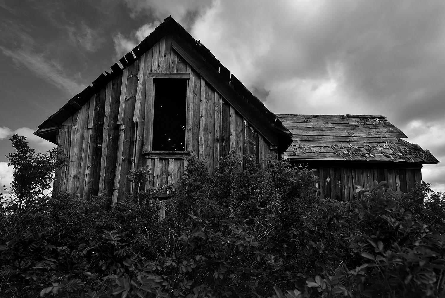 Hardman, Morrow County, Oregon 2016