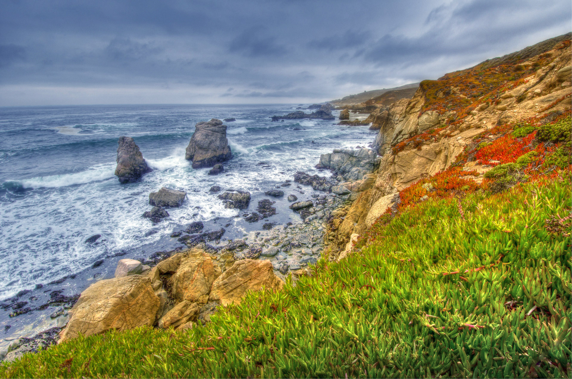 View from Bodega Bay Trailhead