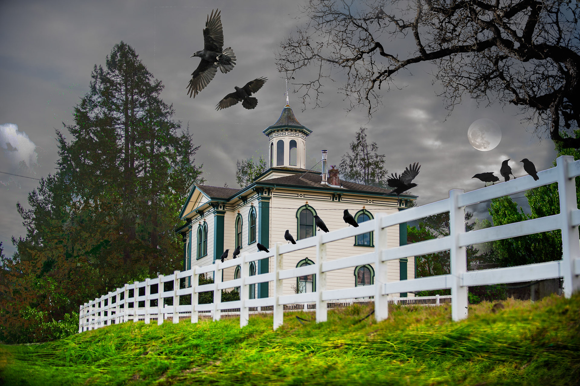 The Birds Schoolhouse II