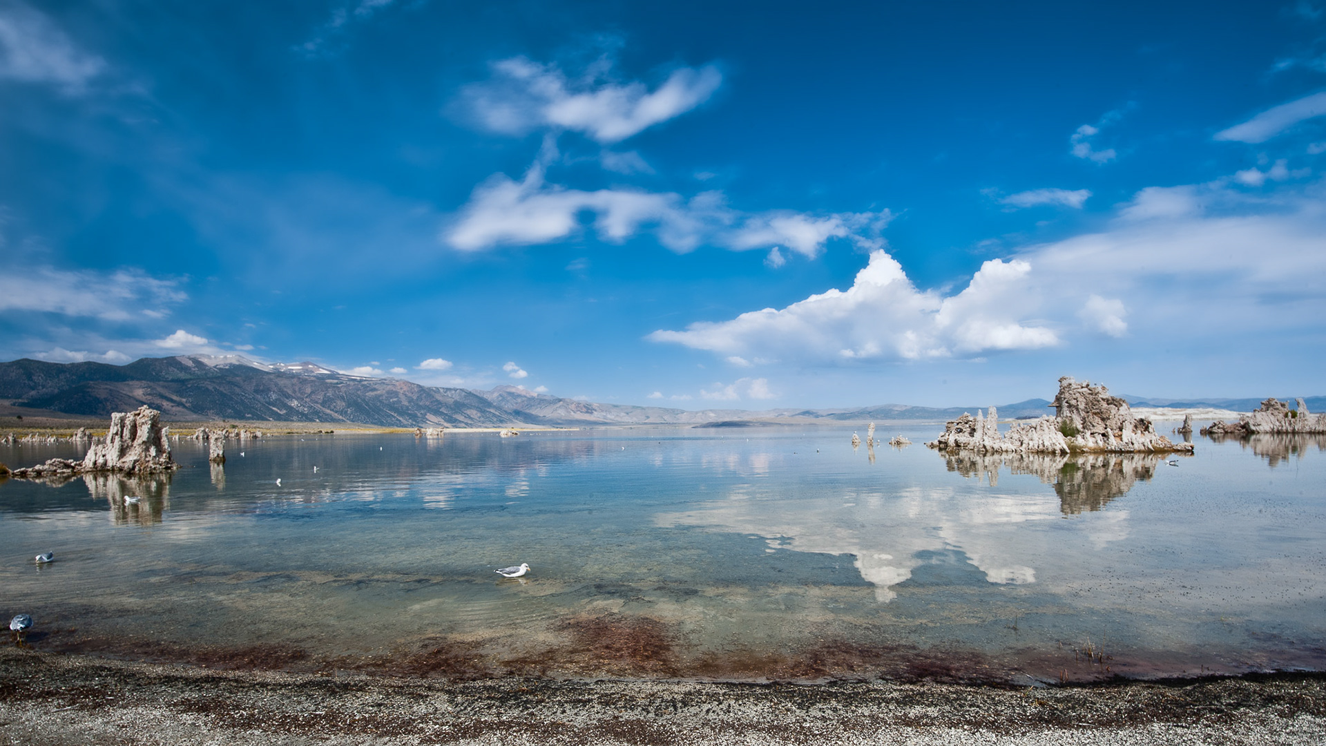 Mono Lake