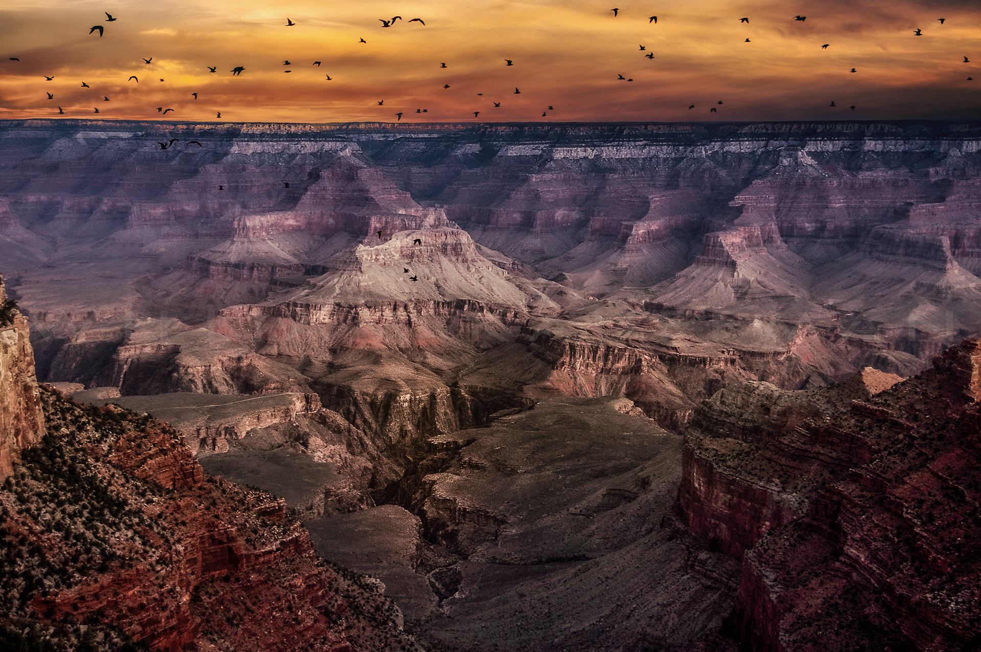 Grand Canyon Sunrise