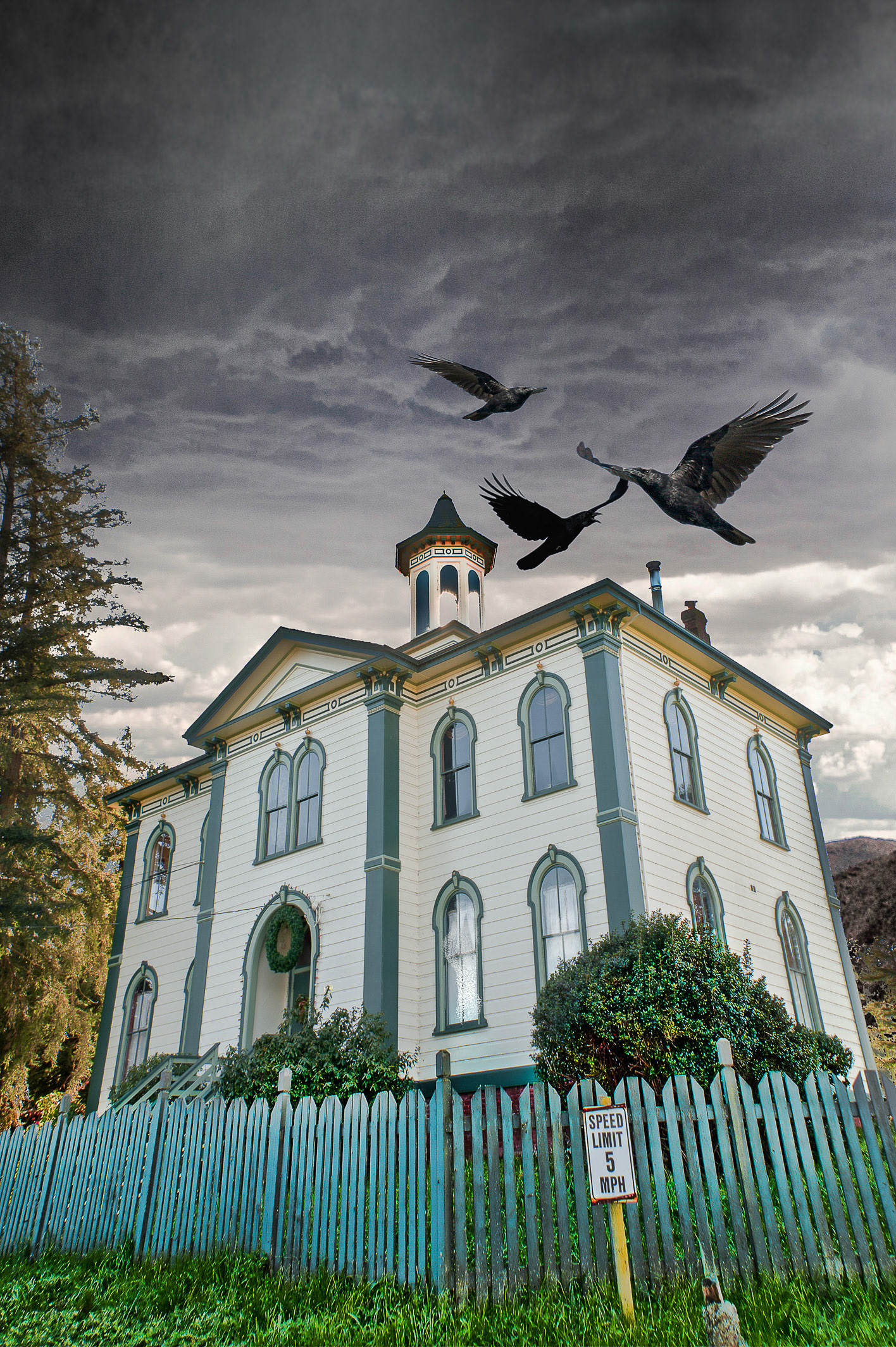 The Birds Schoolhouse