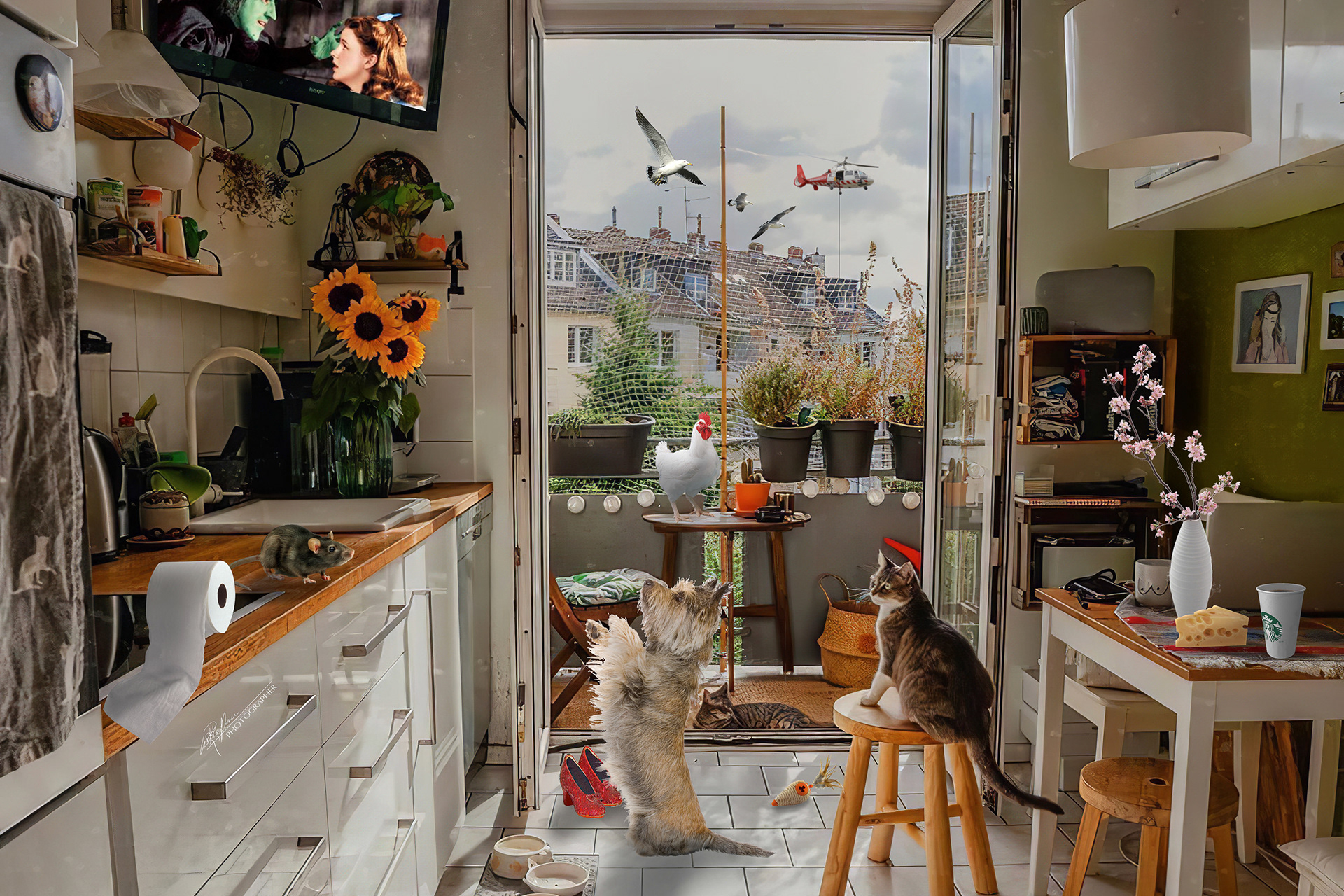 We Have the Ruby Slippers