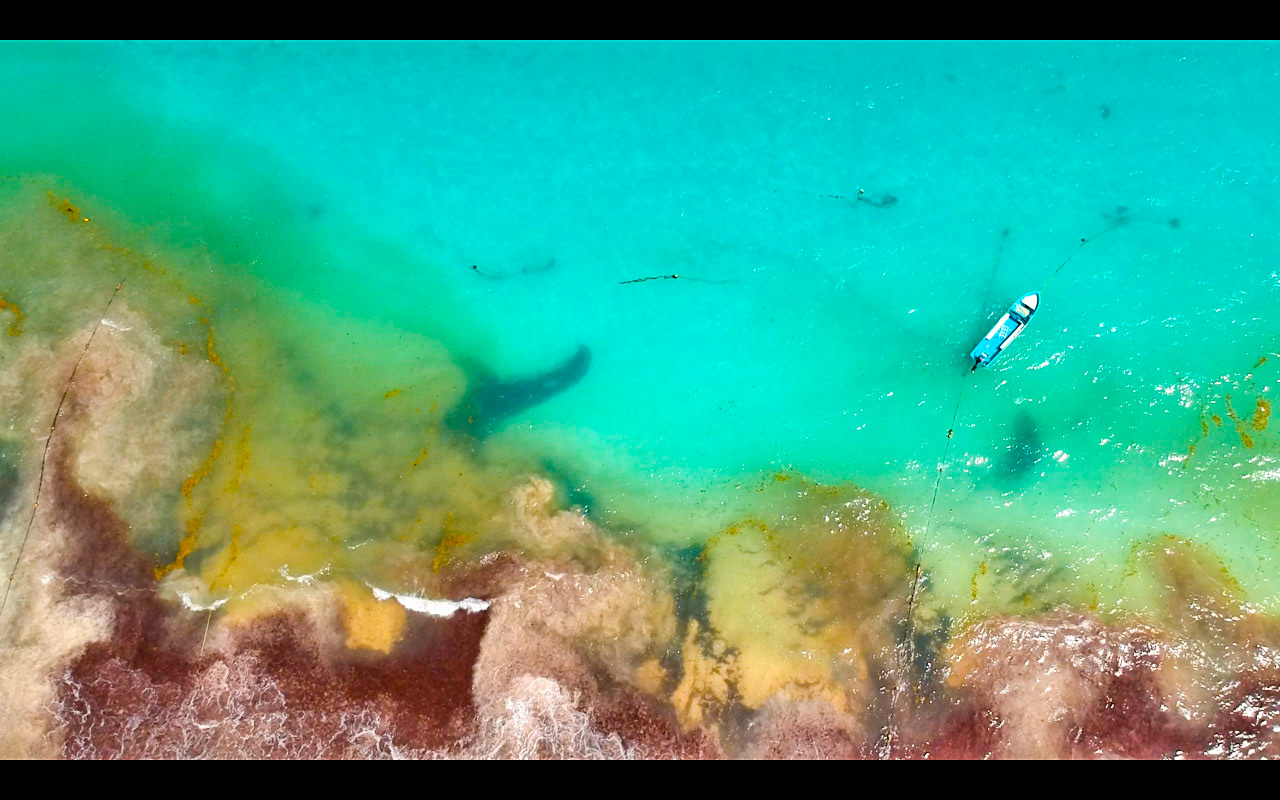 PLAYA PESCADORES, TULUM Q. ROO, MEXICO