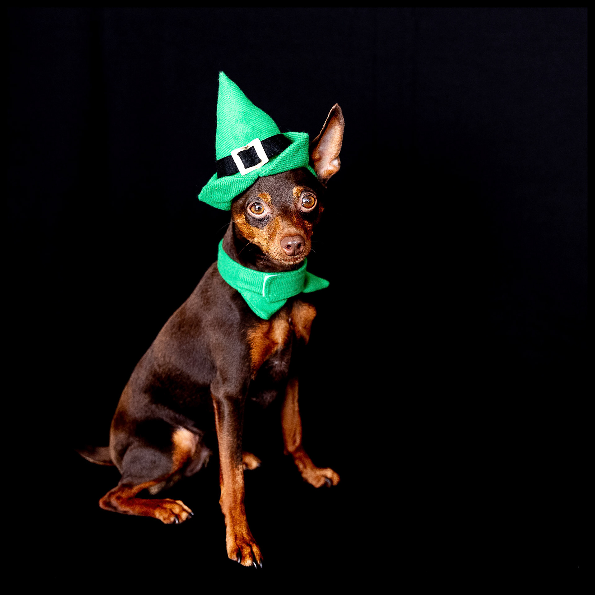 Milo the leprechaun