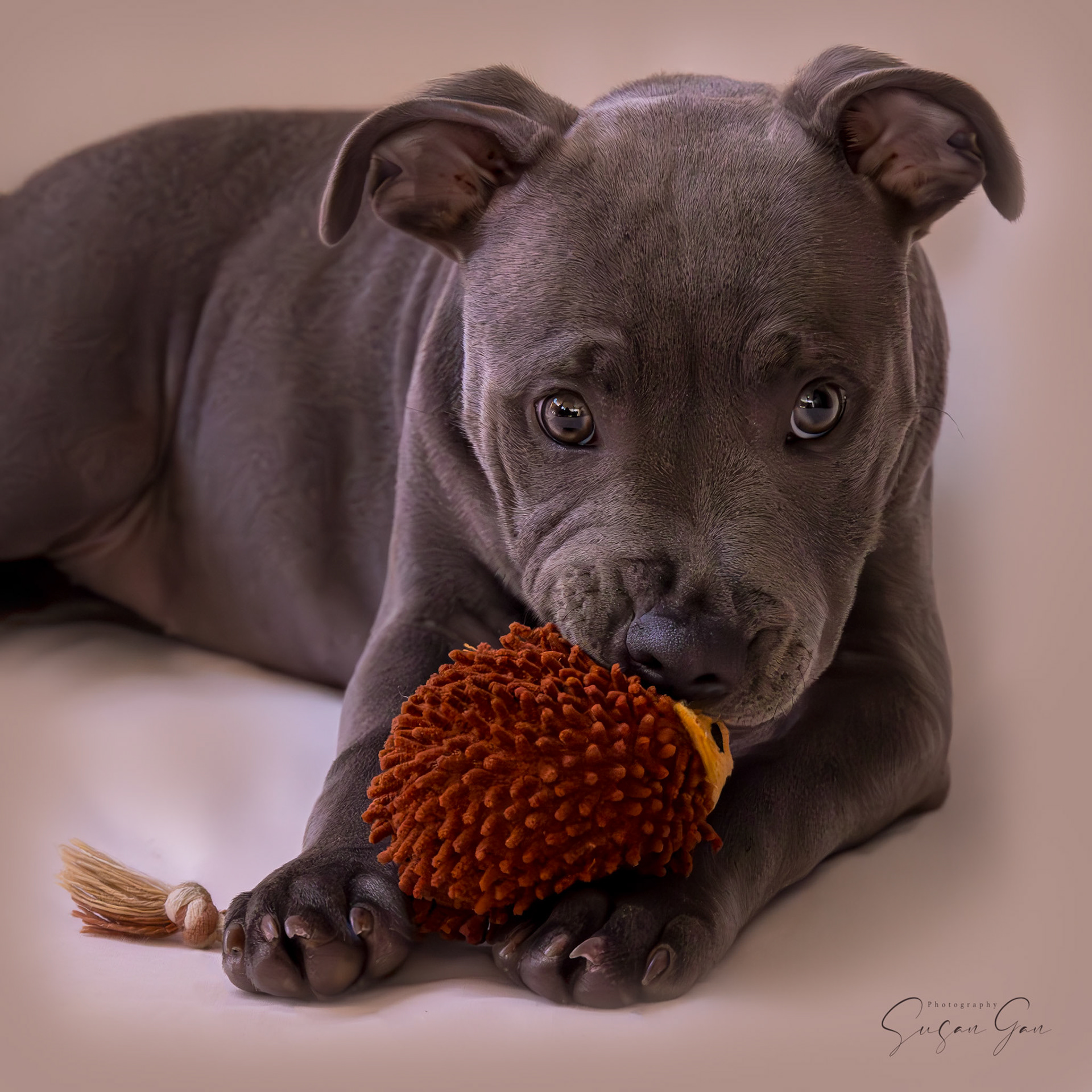 Rosie