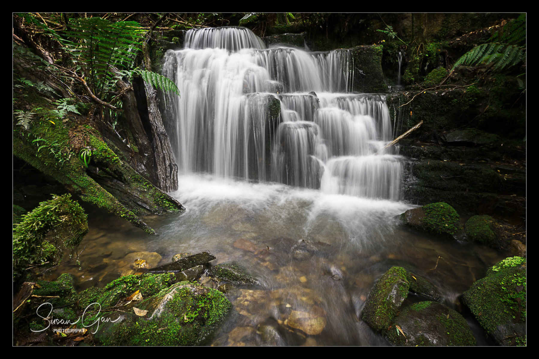 Featherstone Falls, TAS