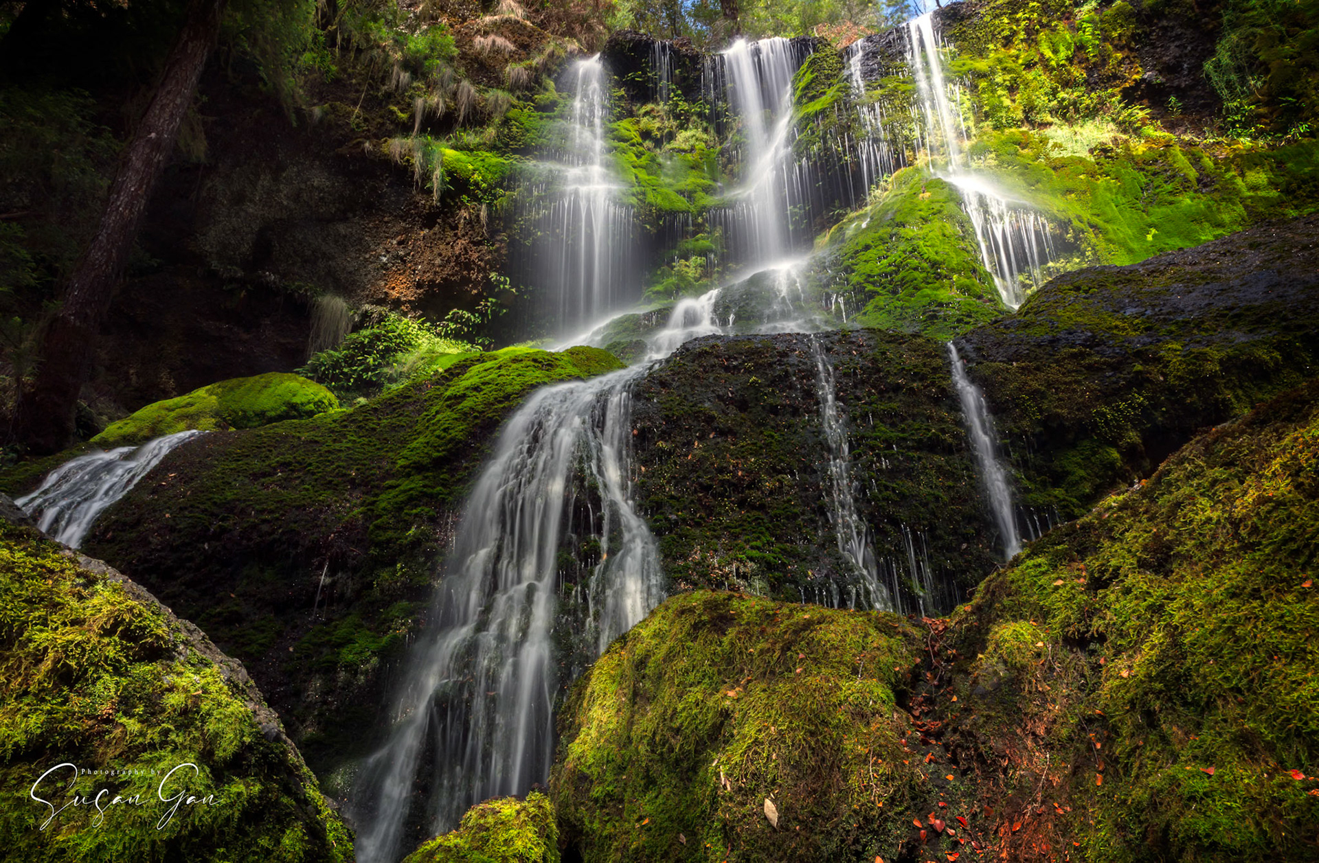 Champagne Falls, TAS