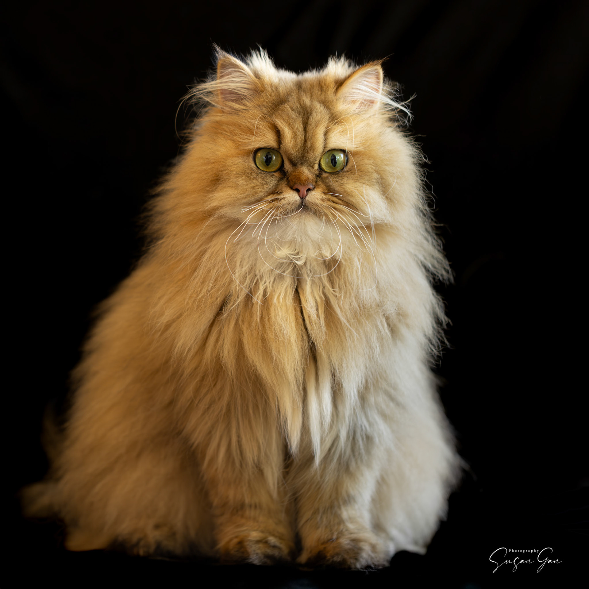 Caramel