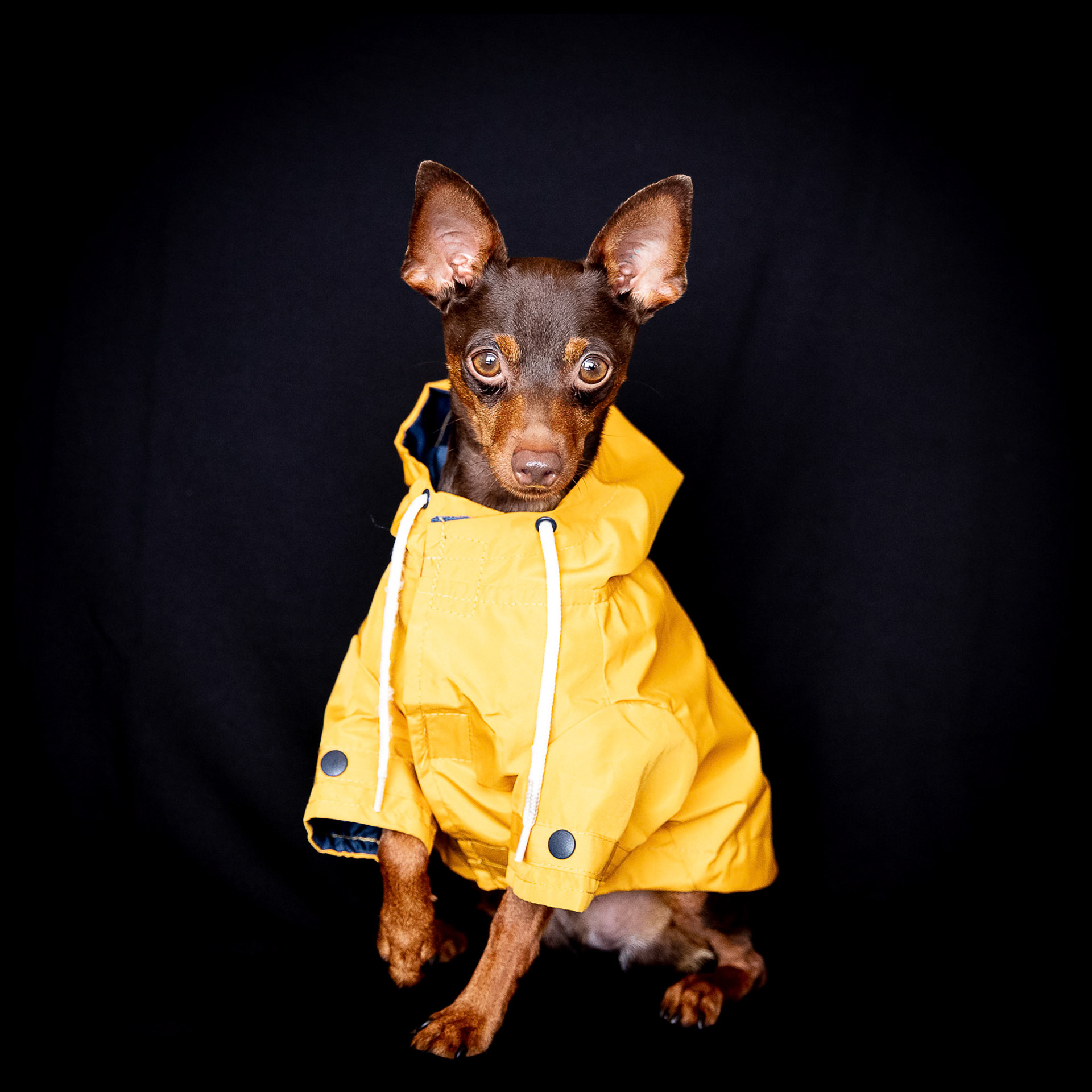 Rain rain go away!