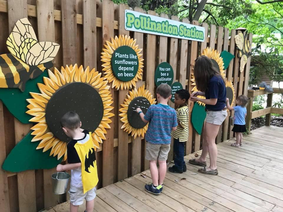 The Pollination Station is located in a small corner of the park allowing parents to recharge while their children interacted with a fun activity that explained the importance of pollinators. 