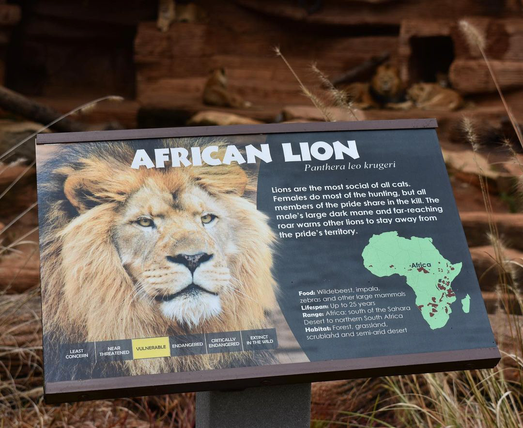 I updated the ID graphics to be clear, visually interesting and include habitat, key identifiers, and other relevant details. The graphics served as handy guides, enabling visitors to do self-learning.