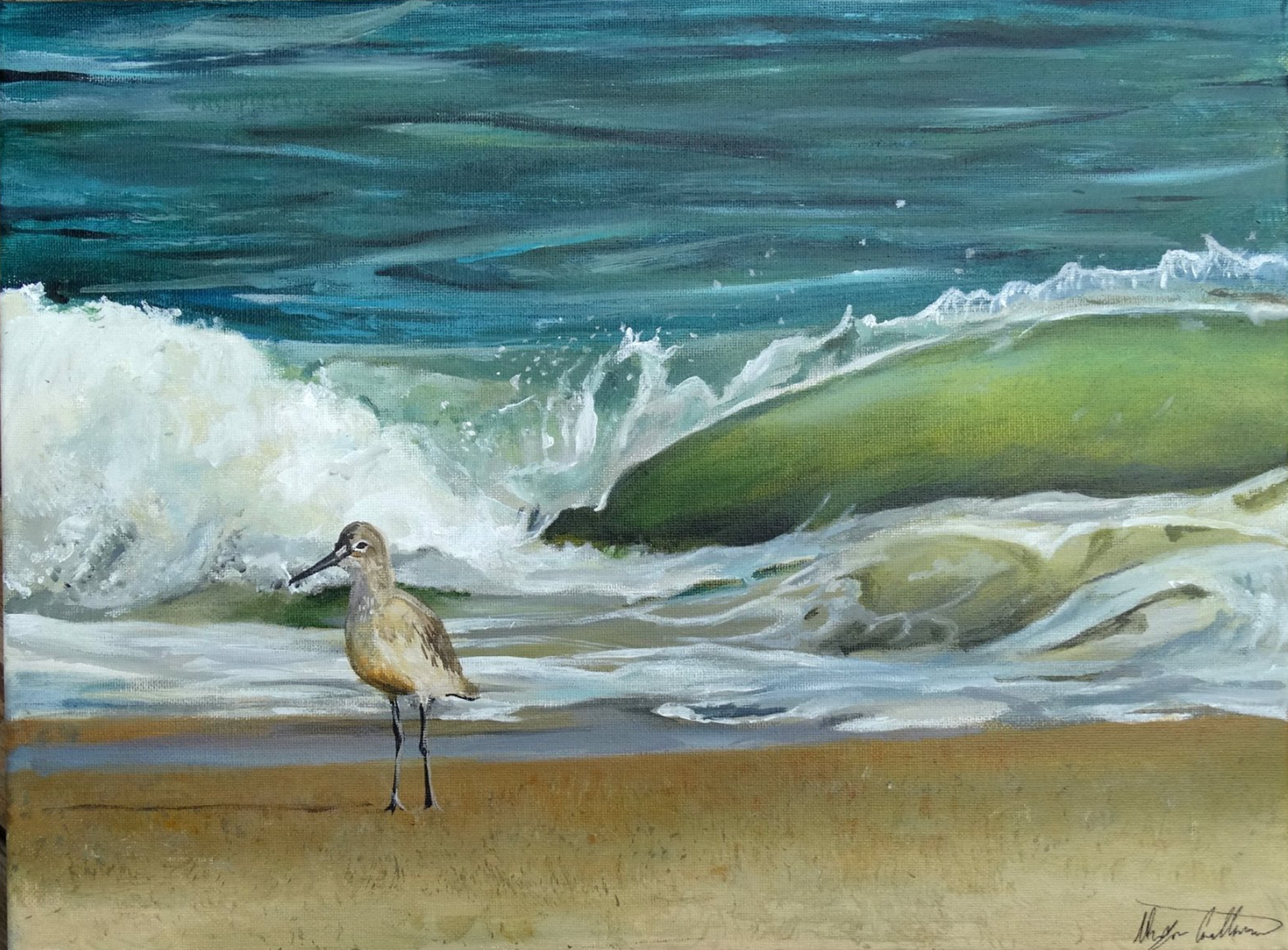 splash SOLD