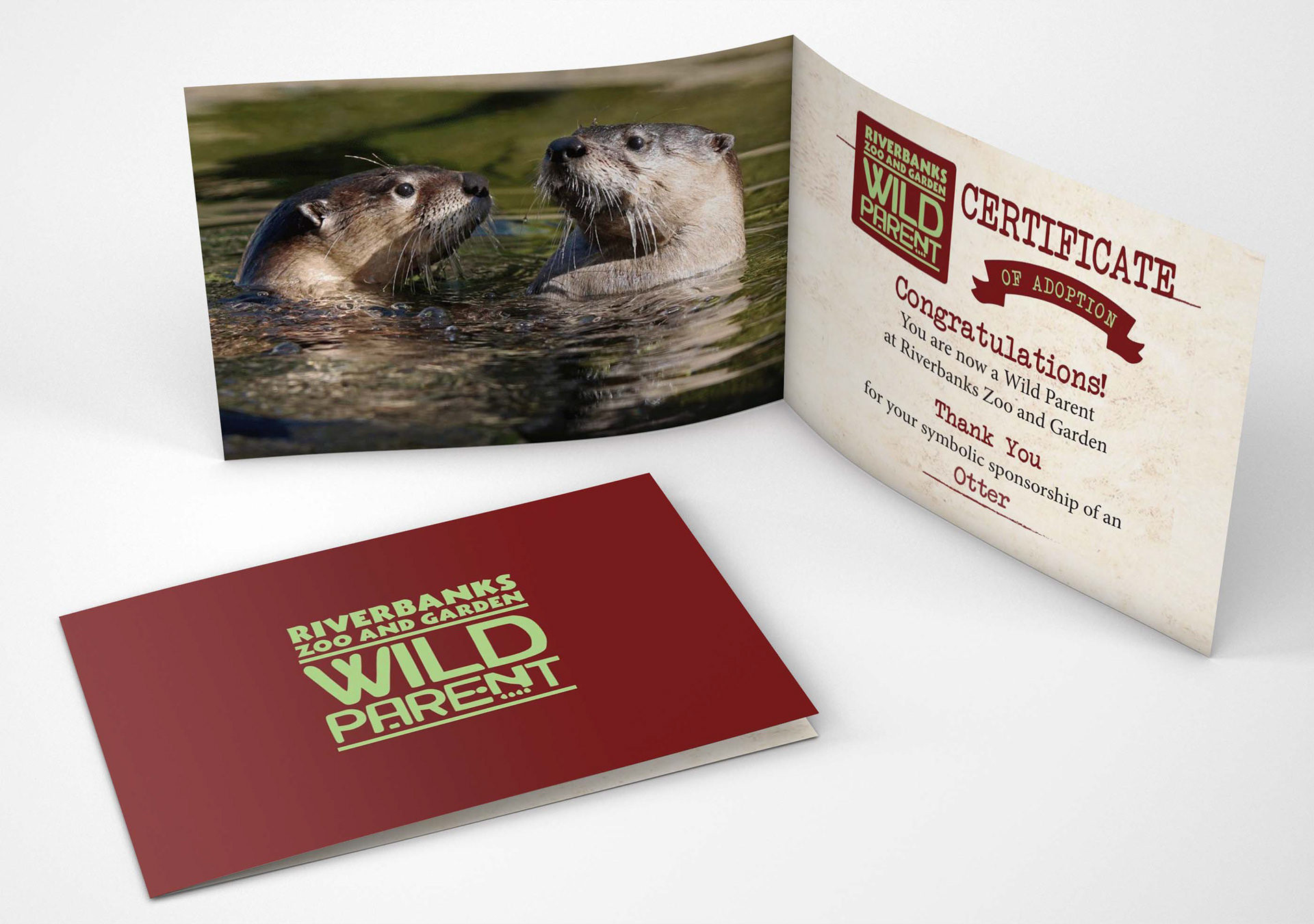 I spearheaded the creation of the “WILD Parent” program – a unique opportunity for visitors and animal lovers to symbolically “adopt” a specific zoo animal. This impactful initiative not only fostered a connection between patrons and their chosen animals but also served as a major fundraising campaign, generating over $30,000 in donations and ranking among the most successful programs in the zoo’s history.